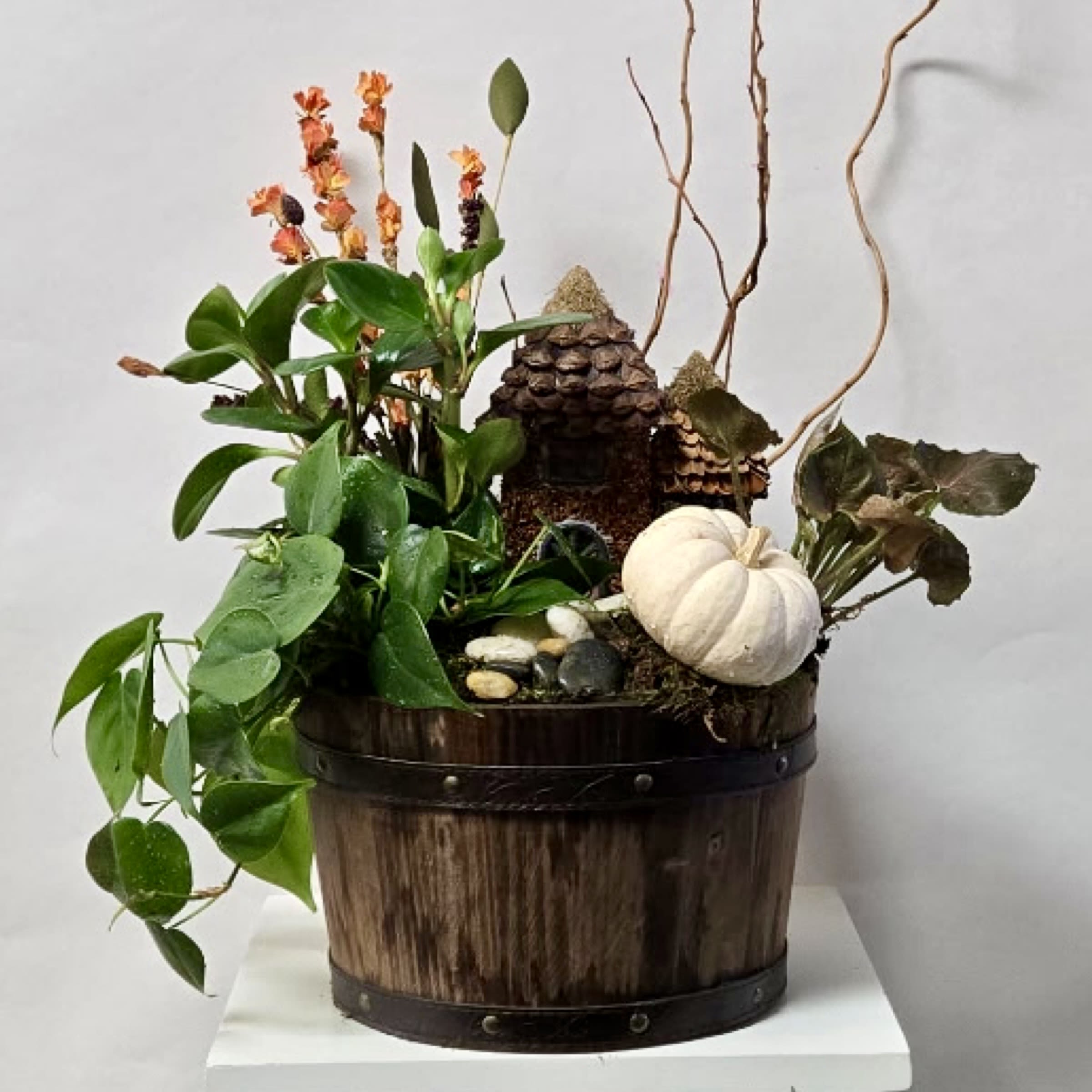 Plant - 2953 Plant - 2953 - 3 Plants in a Wooden Container. Includes a Little Fairy House, Pebble Rocks and Pumpkin.