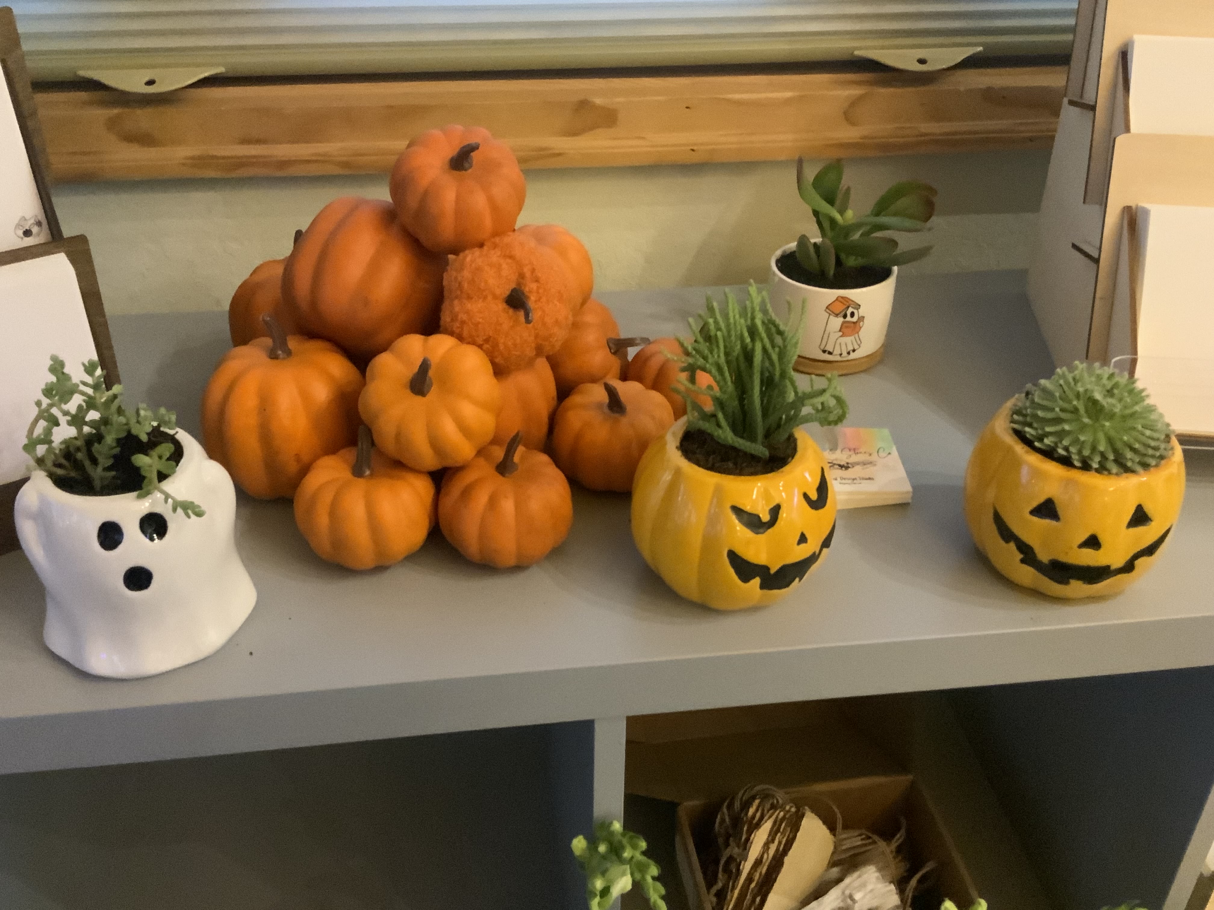 Boo-Tastic! Succulent Pots  - Halloween Themed Succulents. The best little seasonal boo-tastic gift!  Boo deliveries are free through October 31st! 