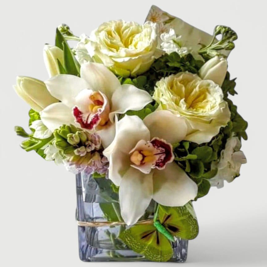 Best Seller Elegant White Rose &amp; Orchid Bouquet | Haddonfield Delivery - Timeless and graceful, this all-white arrangement features lush white roses and elegant white orchids artfully arranged in a clear glass cube style vase. It's simple sophistication makes it a bestseller for birthdays, anniversaries, housewarmings, sympathy gestures, or any time you want to send a message of love, peace, and beauty.  Handcrafted as a designer's choice arrangement, this piece captures the essence of modern elegance white remaining warm, thoughtful, and versatile.  Available for  same-day delivery in Haddon Township, Haddonfield, this stunning white bouquet is a heartfelt way to celebrate life's moments of offer comfort with timeless style.