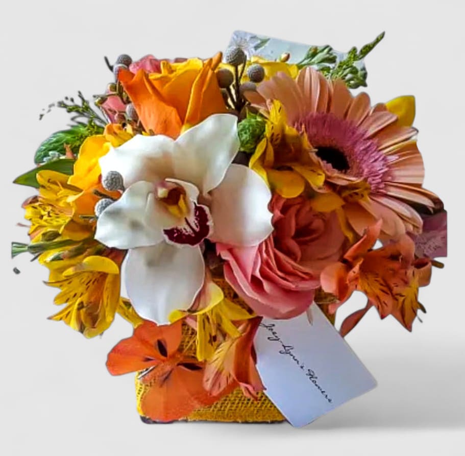 Sunset Blush & Vanilla Orchid Bouquet - Same Day Flower Delivery Haddonfield & Cherry Hill Sunset Blush & Vanilla Orchid Bouquet - Same Day Flower Delivery Haddonfield & Cherry Hill - Bring warmth and joy into their day with our Sunset Blush & Vanilla Orchid Bouquet, a radiant mix of fresh roses, orchids, gerbera daisies, and hydrangea in cheerful peach, blush pink, and soft cream tones. Hand-arranged in a modern glass vase. This bouquet is perfect for birthdays, anniversaries, get-well wishes, or simply to say "I'm thinking of you." At Joey-Lynn's Flowers in Haddon Township, every design is created fresh and unique- never mass-produced. We proudly offer same-day flower delivery to Haddonfield, Cherry Hill, Marlton, Voorhees, and surrounding towns. Send love, beauty, and happiness today with a bouquet that feels as special as the person receiving it.