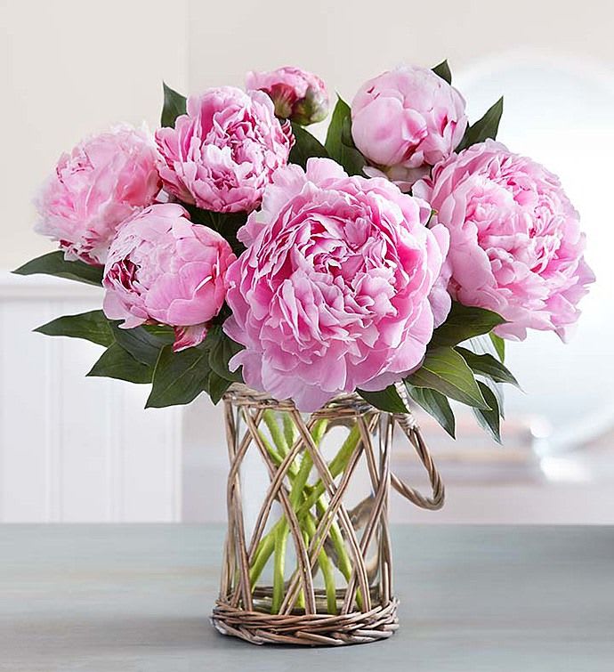 Veoleta peonies. - Charming bouquet of pink peonies is a perfect choice for a springtime. Looks perfect when wrapped by itself and we do a nice touch of adding a satin ribbon matching the bouquet.VERY OPEN PEONIES SOLD!! WE HAVE NOW CLOSING FLOWERS BEFORE MAKING ORDER, CALL.917 6984818.