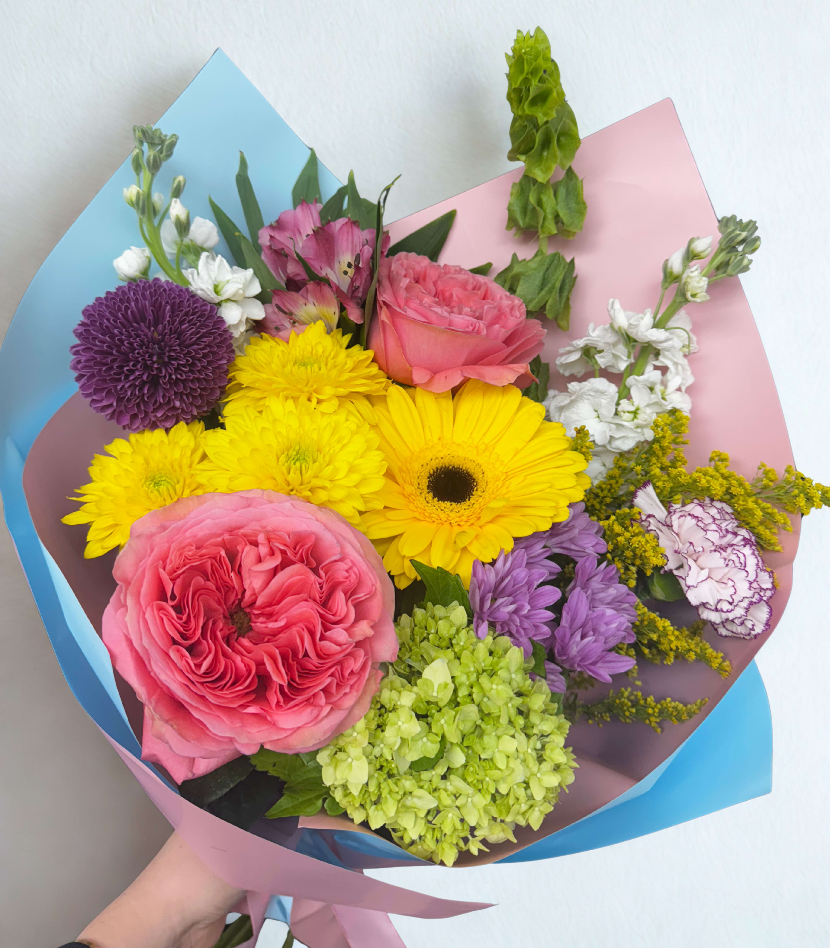 Candy garden Candy garden - A cheerful bouquet bursting with color and texture, featuring garden rose, hydrangea, gerbera daisy, chrysanthemums, stock, alstroemeria, and bells of Ireland. Wrapped in soft pastel blue and blush paper for a playful yet elegant look. Note: Garden rose may be substituted with another premium bloom of equal value depending on seasonal availability.