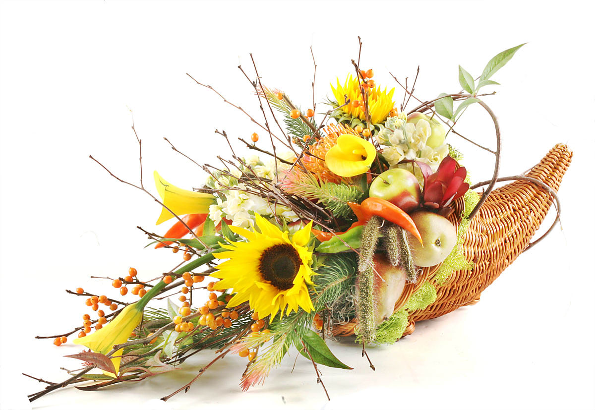 Cornucopia - Celebrate warm family gatherings with this crafted seasonal centerpiece for your holiday decorating. Includes yellow calla lilies, sunflowers, lady apples, berries, stock, and textural foliages. Designed in a vase and delivered by us, a real Portland florist to anywhere in the greater Portland Oregon area. Place your order online, or call us directly 503 223 1646