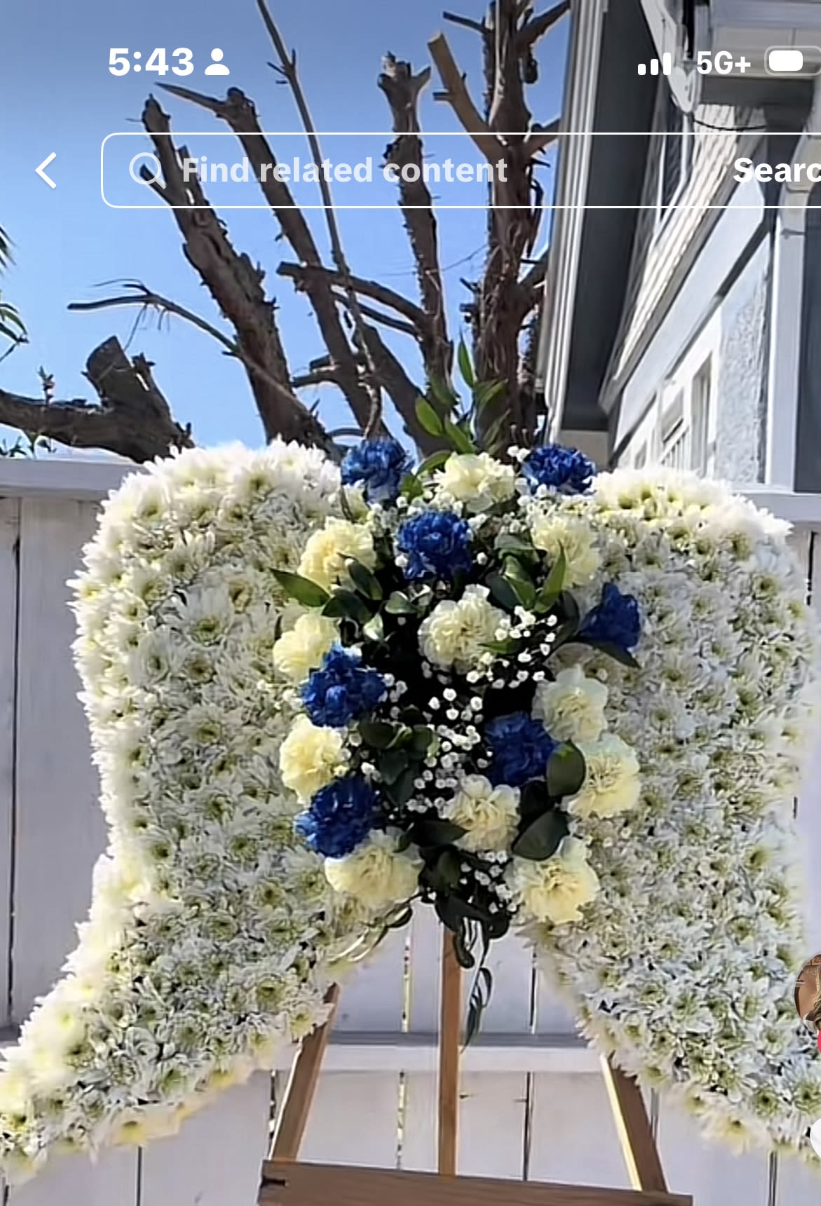 The boy angel - Angel wigs for someone very special