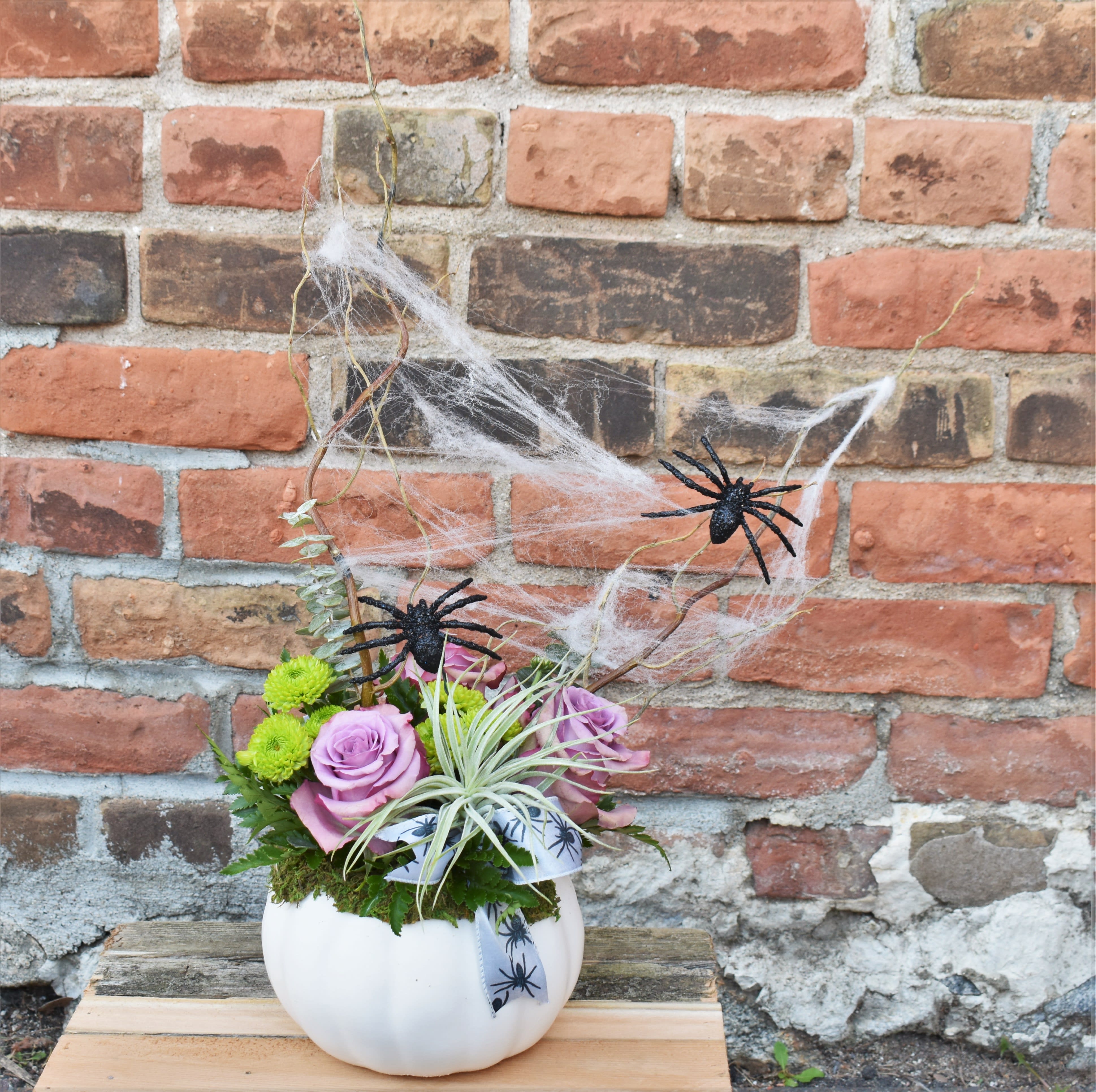 Arachnophobia Arachnophobia - Who would love to have this beautiful bouquet crawl into their home? Lavender roses, green button mums, blue thistle, tilansia, and greenery are designed in a white ceramic pumpkin and accented by twigs, webbing, and of course...SPIDERS! The perfect blend of beauty and "EEK" to celebrate the season!
