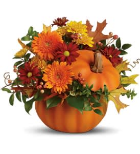 Something Pumpkin Something Pumpkin - The colorful autumn bouquet includes orange miniature gerberas, yellow cushion spray chrysanthemums and red daisy spray chrysanthemums accented with huckleberry, salal, oregonia and preserved yellow and brown oak leaves. Delivered in a hand-painted lidded ceramic pumpkin.
