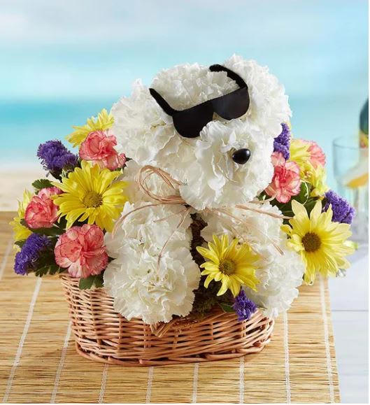 Cool Pup - Our poolside pooch is ready for summertime fun with all your favorite people. Sporting cool black shades, this party animal is crafted from white carnations and pops of colorful blooms all around. Cheerful and bright, it makes a truly original centerpiece for every celebration.  **** BASKET WILL VARY ****