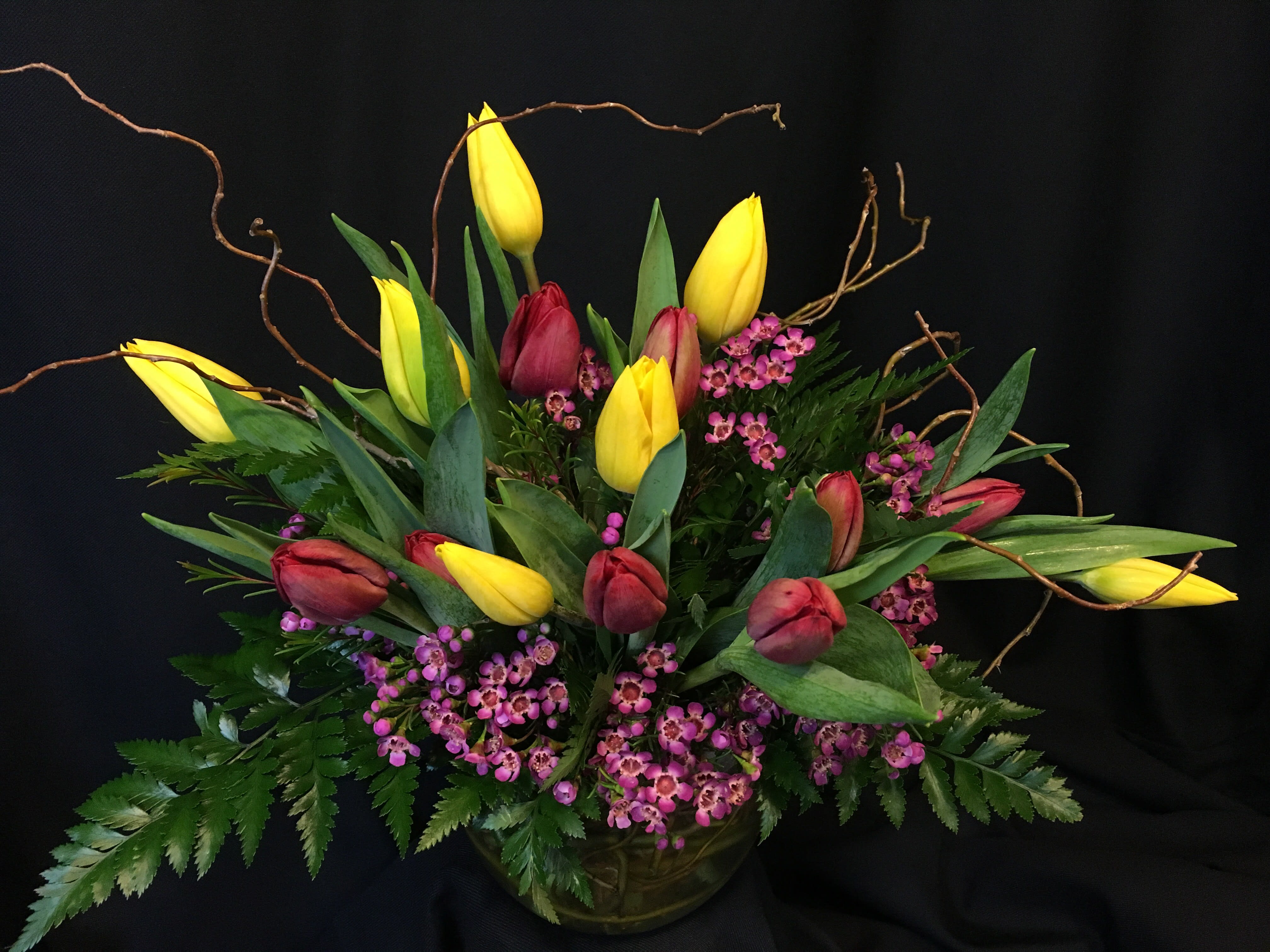 Local Tulips bowl with Curly Willow branches - Bowl full of tulips and filler flower plus whimsical willow branches. Colors and filler will vary. Elegant creation. May not be available when local temperatures exceed 90 degrees or when there is excessive rain. Exceptional in winter. 