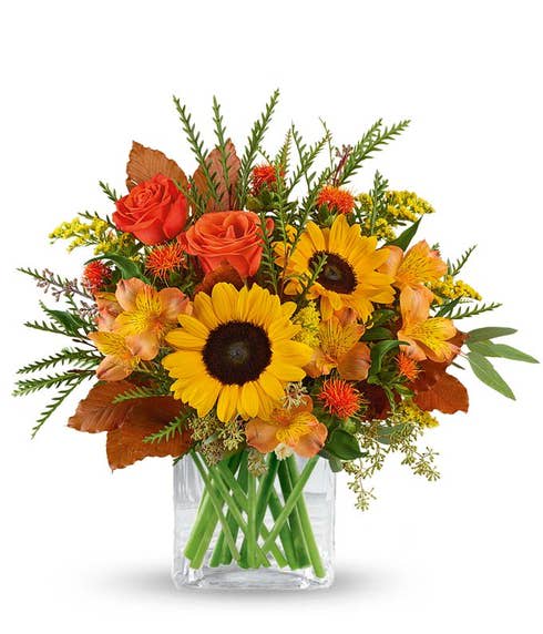 Flourishing Harvest Sunflower Bouquet Flourishing Harvest Sunflower Bouquet - Stunning sunflowers evoke thoughts of sweet sunshine and crisp fall air. This thoughtful gift will transport your lucky friend, loved one, or clients to serene memories of autumn's past.