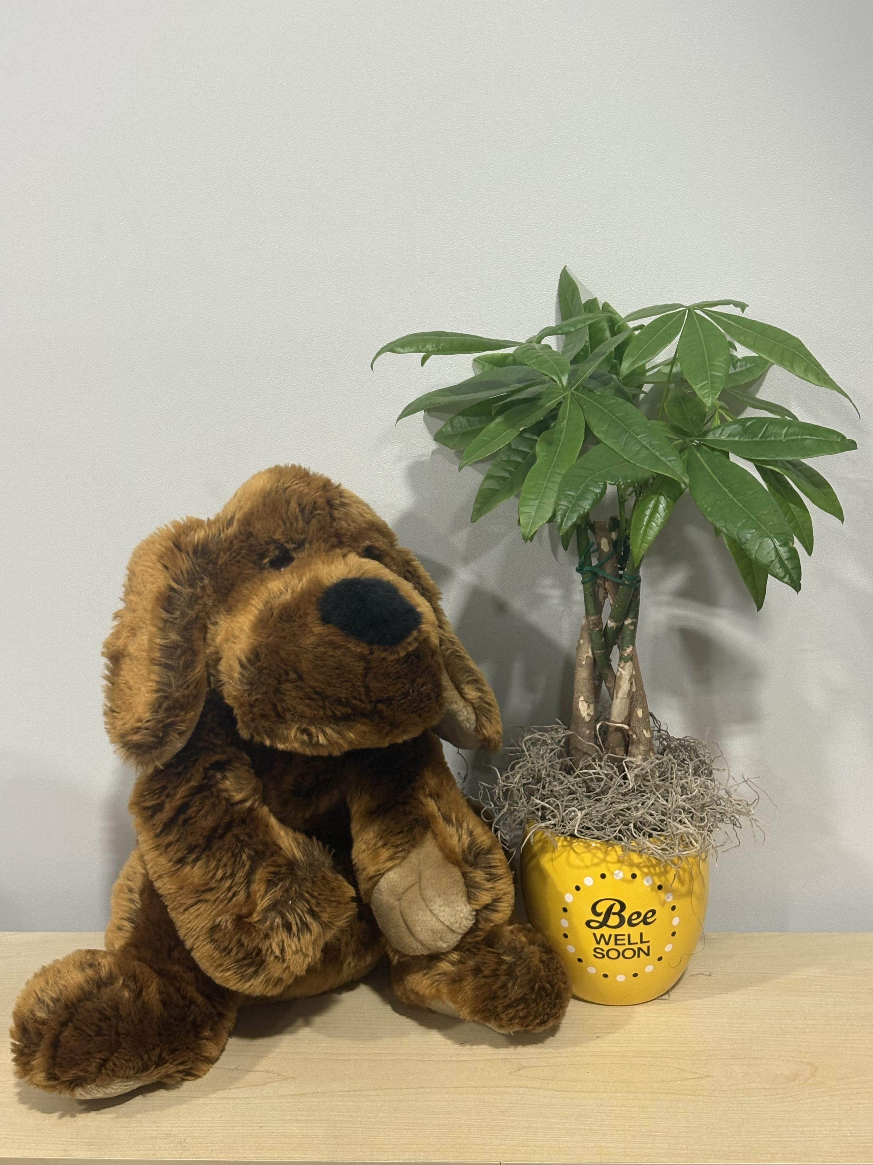 Bee Well Money Tree &amp; Doggy - As shown 