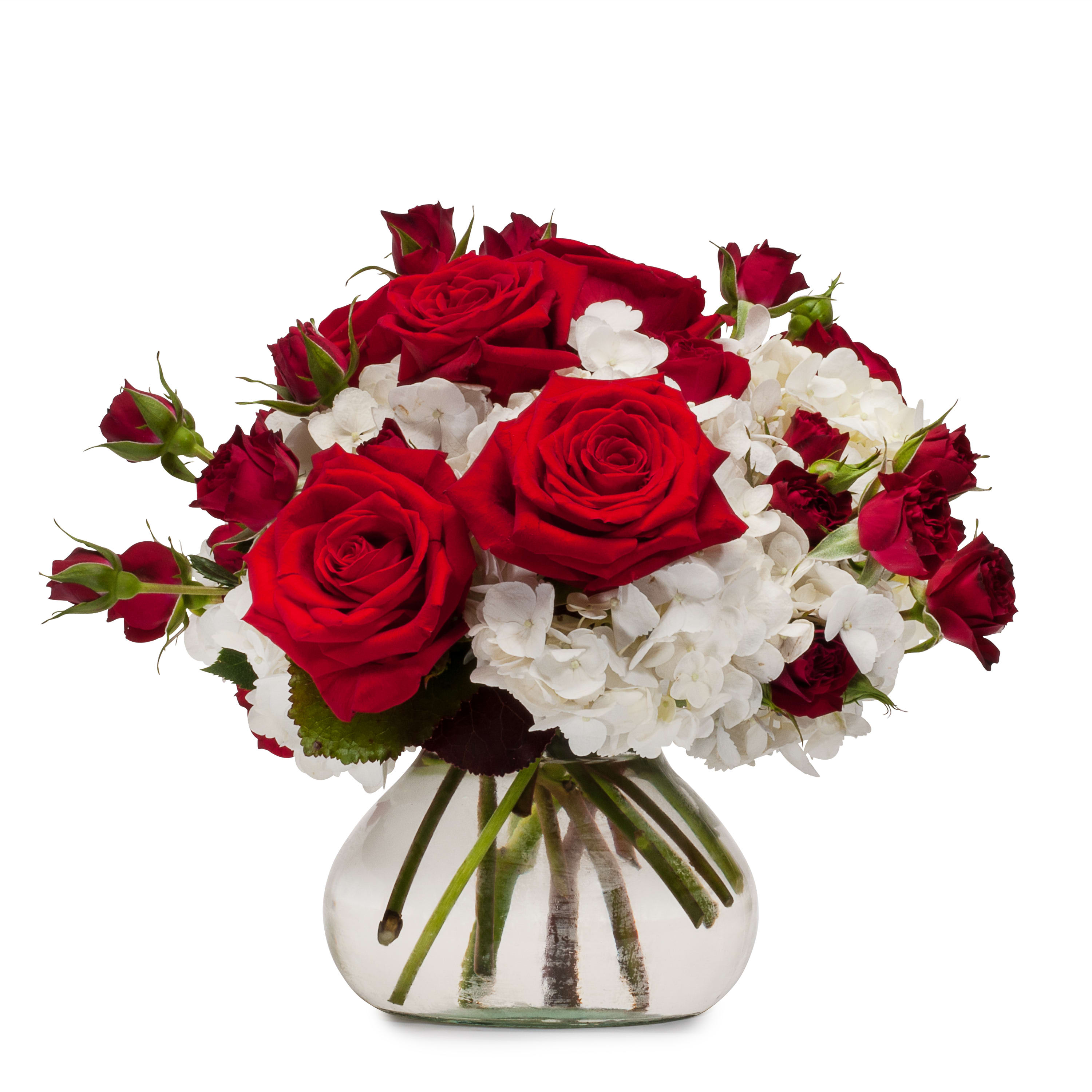 Make Out TMF13-263 - Red roses and white hydrangea make this a romantic combination. Approximately 9&quot;W X 8&quot;H