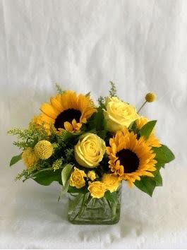 Sunshine Glow Sunshine Glow - Brighten someone’s day with our Sunshine Glow arrangement — a radiant mix of golden sunflowers, cheerful yellow roses, and playful accent blooms. Designed in a modern glass cube, this bouquet bursts with warmth and positivity, perfect for birthdays, get-well wishes, or simply to spread a little sunshine.