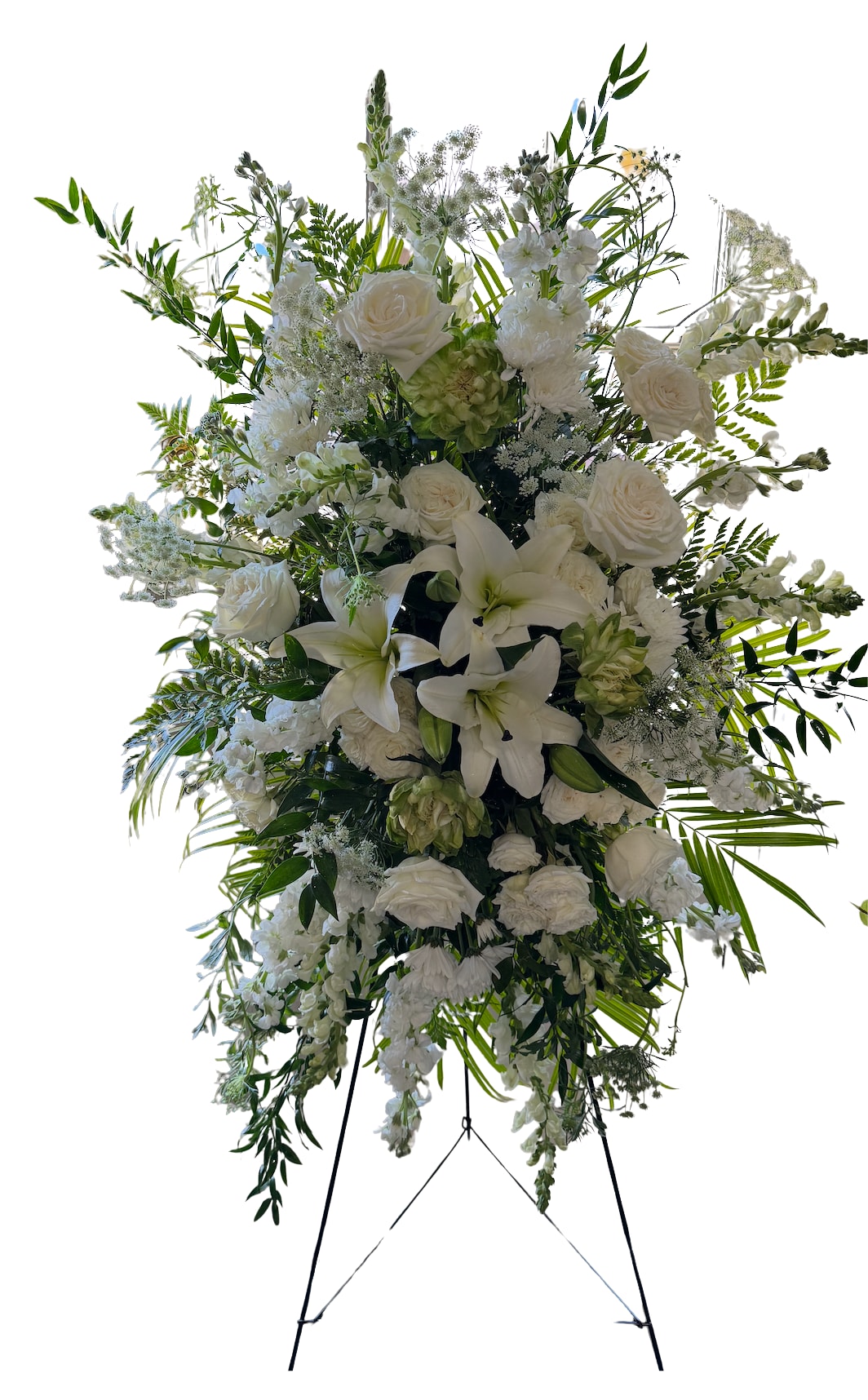 Sympathy Collection -  Standing Spray - This design is a little more loose and airy, made with two colors of florals. Choose two from white, pink, red, yellow or purple by listing your selection under &quot;florist instructions.&quot; The greens are lovely and will be the perfect palette for the flowers. Flowers come from a selection of Roses, Spray Roses, Gerbera Daisies, Mums, Dahlias, Snapdragons, Hydrangea, Asters and Cremones depending on the season.