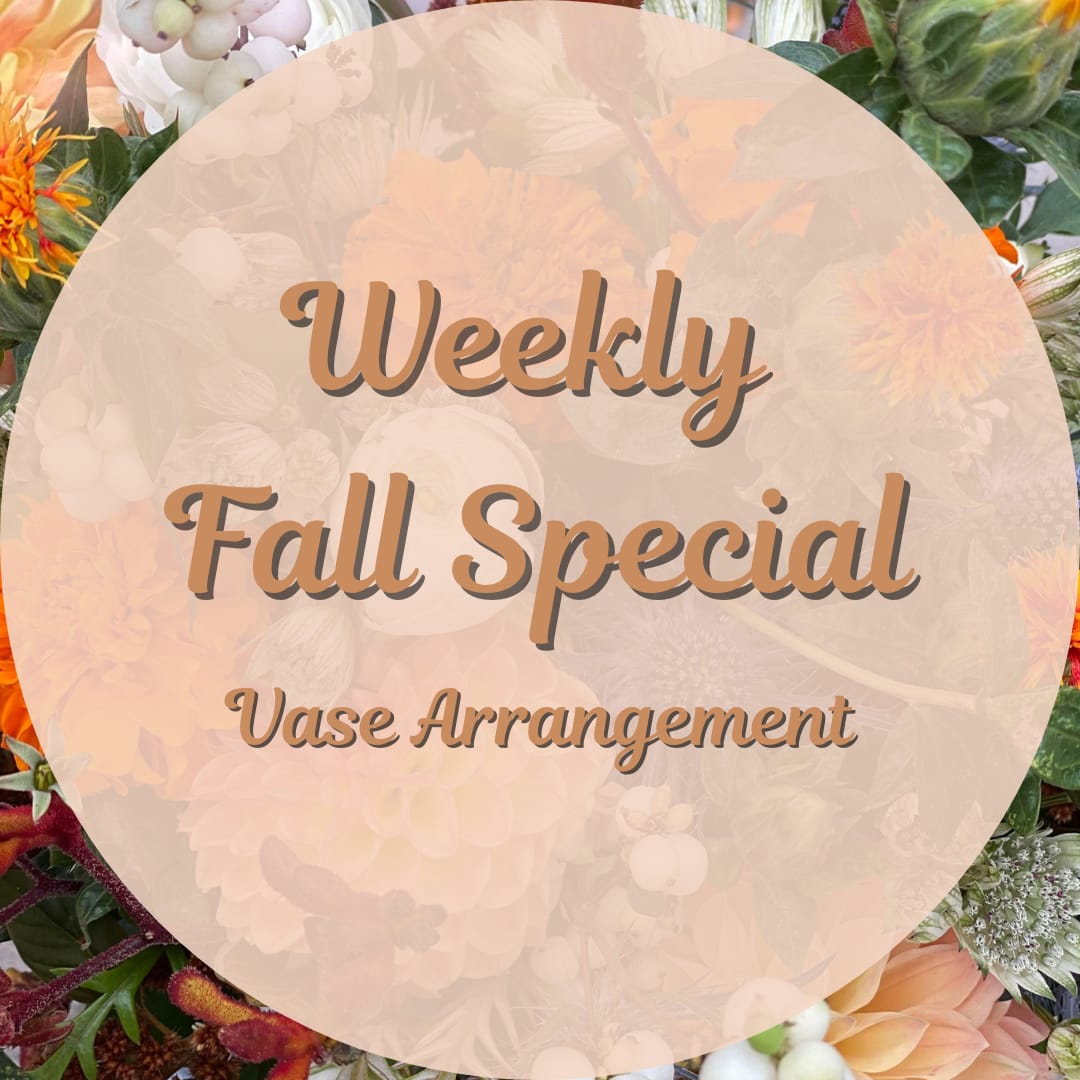Fall Vase Arrangement Fall Vase Arrangement - Beautiful mix of fresh blooms arranged in a vase or container. Perfect size for a desk or hospital room.