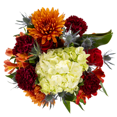 Harvest Glow Harvest Glow - Wrapped Bouquet with muted bronzes, burgundies greens and blues.   Includes hydrangea, chrysanthemums, carnation, roses, thistle, mixed greenery. *Limited Stock; Only available for Thanksgiving Week - Saturday, November 22nd - Wednesday, November 26th.