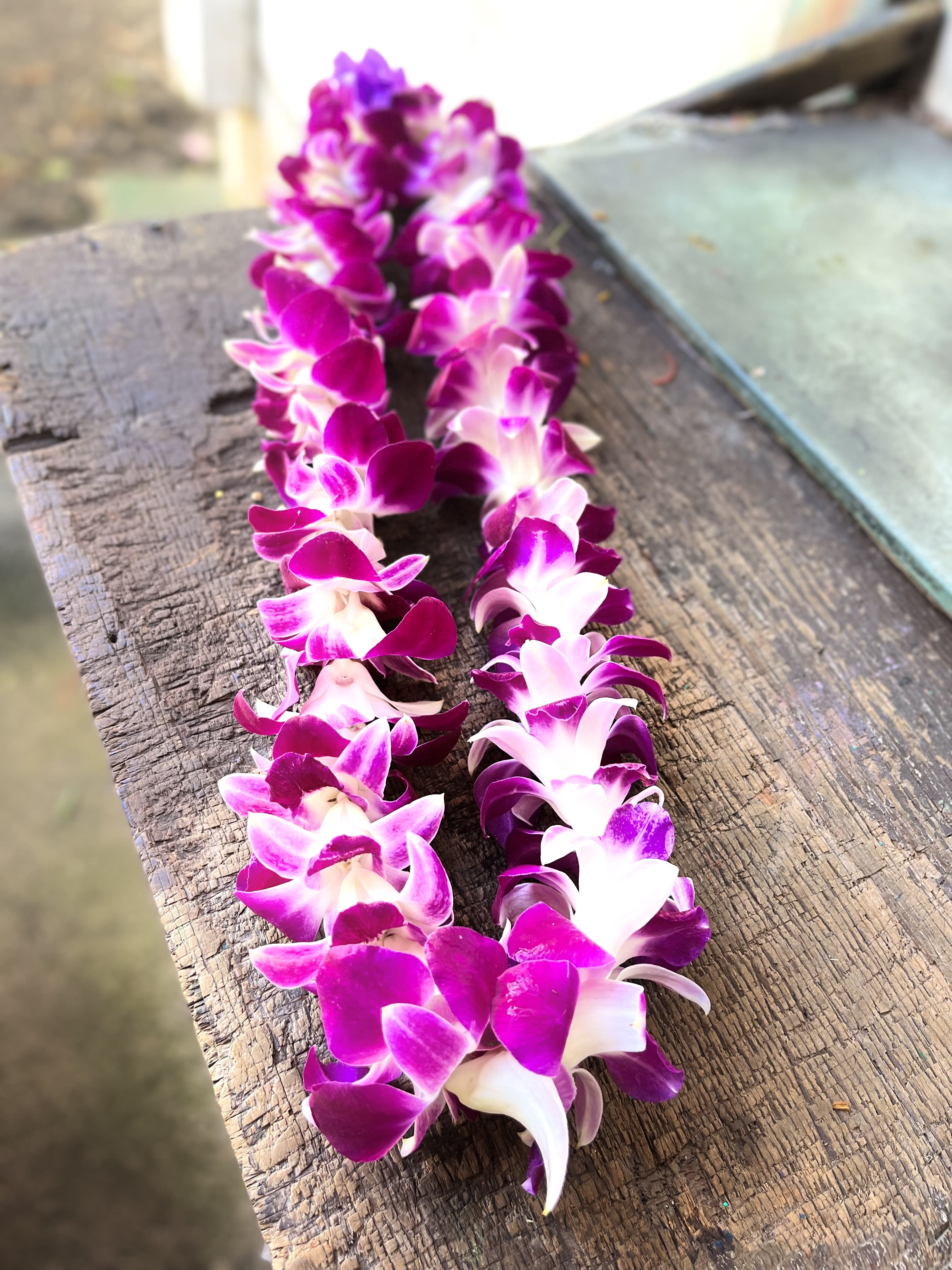 SINGLE SONYA LEI - Single Sonia Orchid Lei (PLEASE REMEMBER THE DELIVERY MINIMUM FOR AN ORDER IS $65.00)  &quot;ADD A LEI WITH A TROPICAL FLORAL&quot;