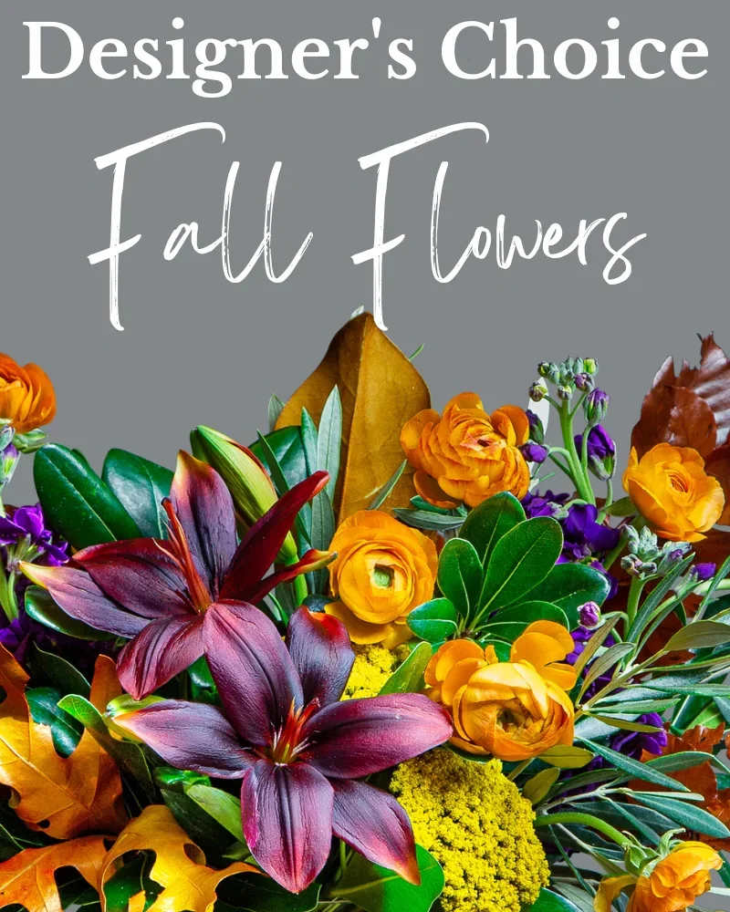 Designer's Choice - Fall - Let our Designers create the perfect floral arrangement using the freshest flowers in beautiful fall colors with the best value for any occasion. 