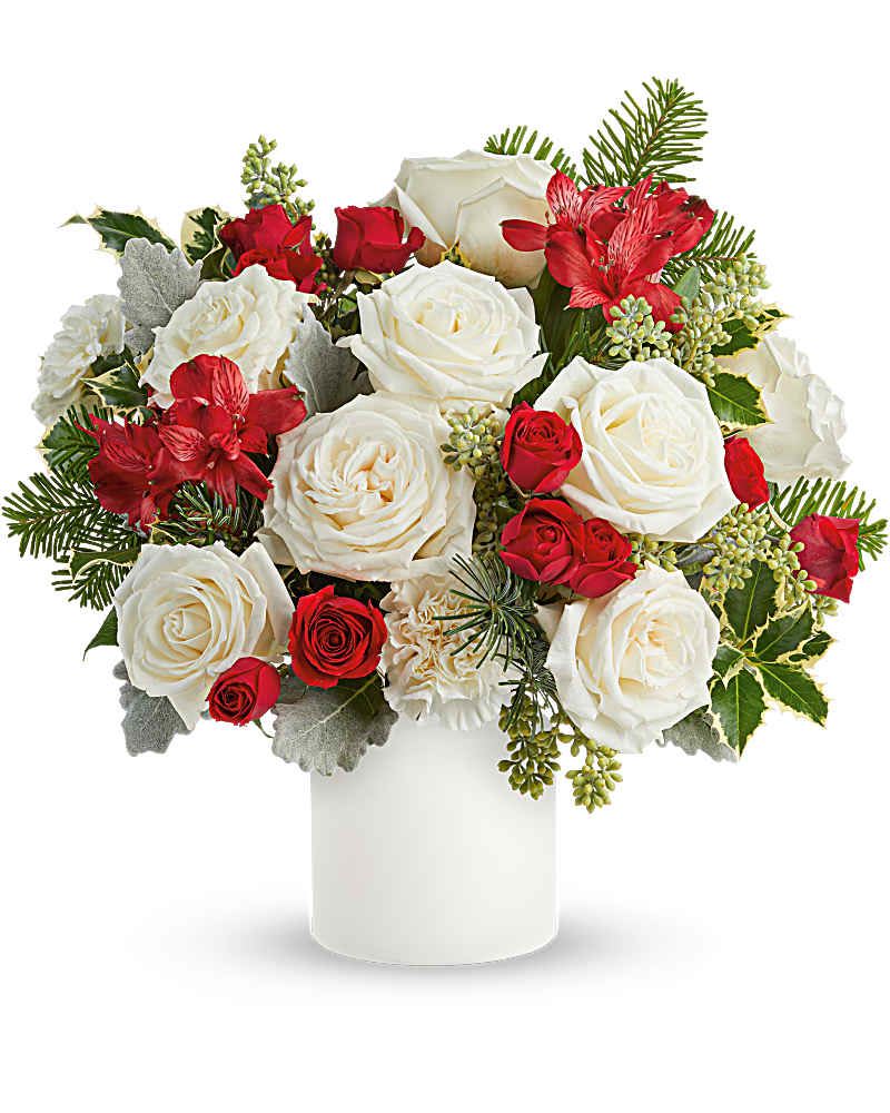 Teleflora's Holiday Joy Bouquet Teleflora's Holiday Joy Bouquet - Teleflora's Holiday Joy Bouquet captures Christmas cheer with white roses, red blooms, and festive evergreens in Teleflora's White Savannah Jar. A beautiful holiday gift or cozy, elegant winter centerpiece. Teleflora's Holiday Joy Bouquet includes white roses, red spray roses, red alstroemeria, white carnations, dusty miller, seeded eucalyptus, variegated holly, and noble fir arranged in Teleflora's White Savannah Jar Orientation: All-Around SUBSTITUTION POLICY – Always deliver the freshest flowers! Please note the bouquet pictured reflects our original design. If the exact flowers or container in this arrangement are not available, our local florists will create a beautiful bouquet with the freshest available flowers