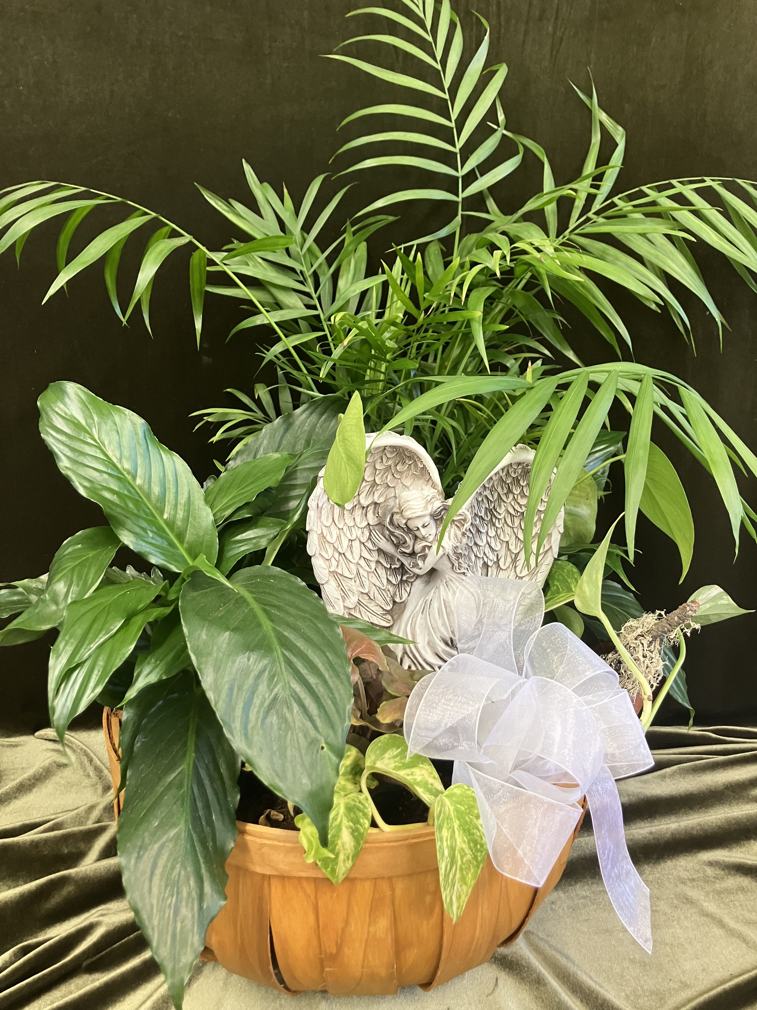 Resting Angel Planter Resting Angel Planter - Beautiful green houseplants in a basket with a lovely angel surrounded with fresh, peaceful white flowers