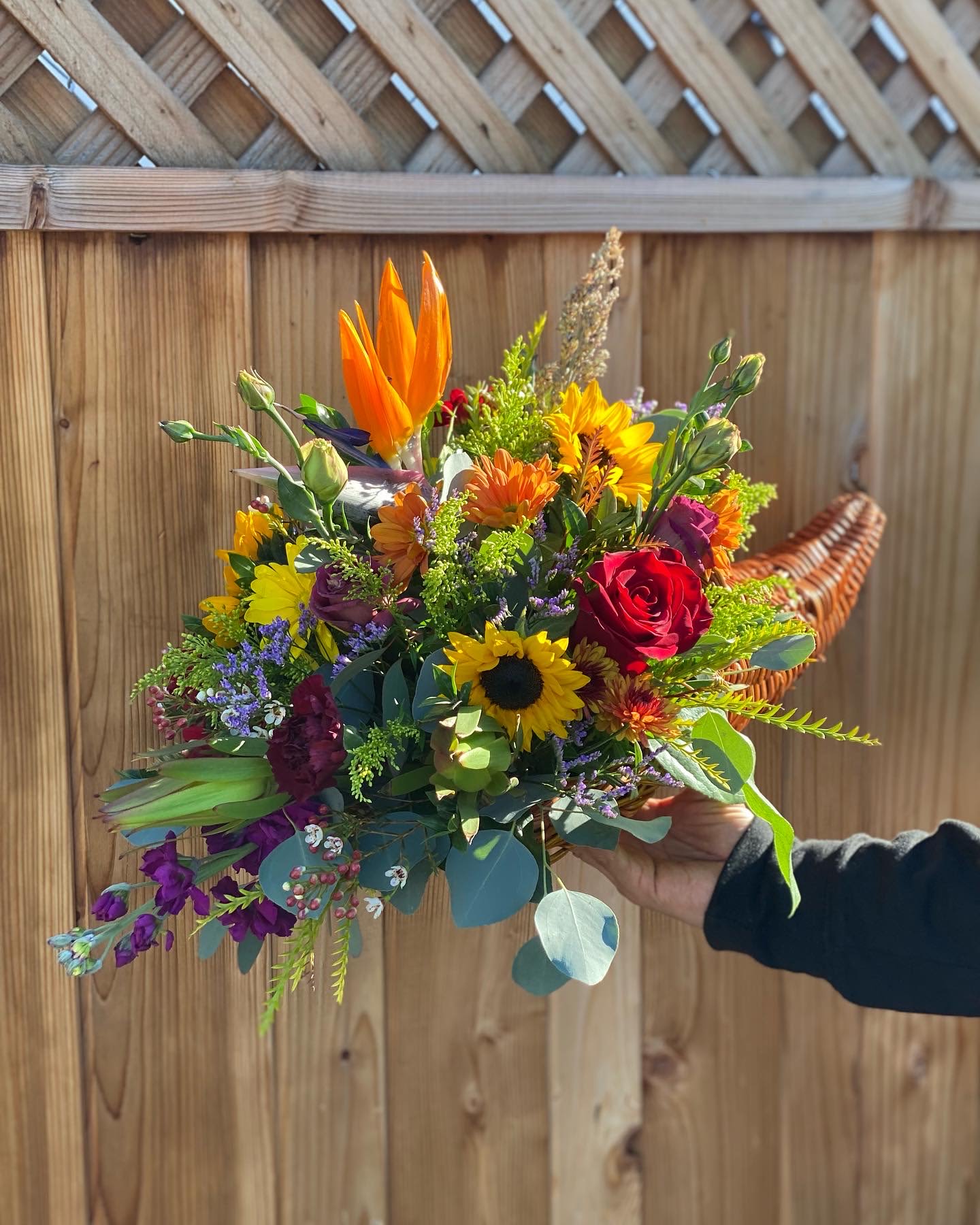 Blessings Blessings - Perfect for your dinning table! A cornucopia filled with in season blooms that include, birds of paradise, roses, stock, and much more!