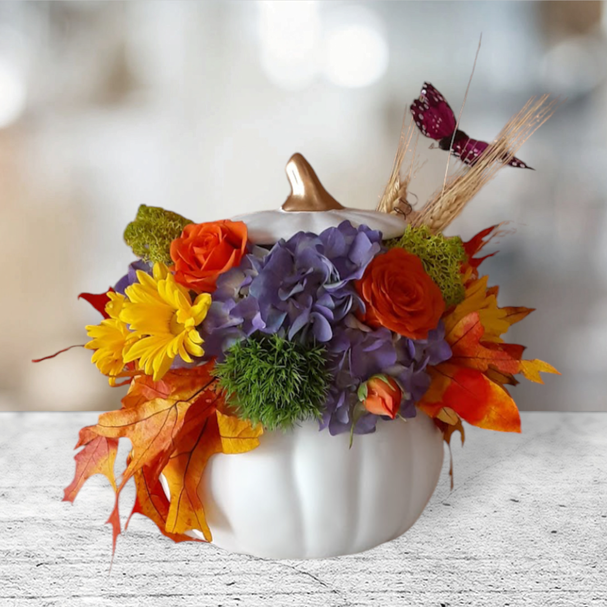 Trendy Lil' Pumpkin Trendy Lil' Pumpkin - High style comes to the pumpkin patch!!  Embrace the beauty of fall with our Trendy Lil' Pumpkin Arrangement. This fabulous fall mix of vibrant seasonal flowers, including rich orange roses, deep purple hydrangeas, cheerful yellow daisies, and lush green accents, bursting from an enchanting white ceramic keepsake candy dish pumpkin. Delicate wheat stalks and colorful autumn leaves complete the arrangement, evoking the warmth and richness of the harvest season. Perfect for adding a touch of autumn to your home décor or as a thoughtful gift to celebrate the season.