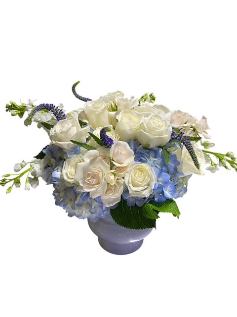 Hanukkah Lights  - We are constantly surrounded by lights. Incandescent lights, fluorescent lights, the northern lights. They all serve a certain purpose in making our lives that much more bright and beautiful. This holiday season, light up your nights with Hanukkah Lights.  