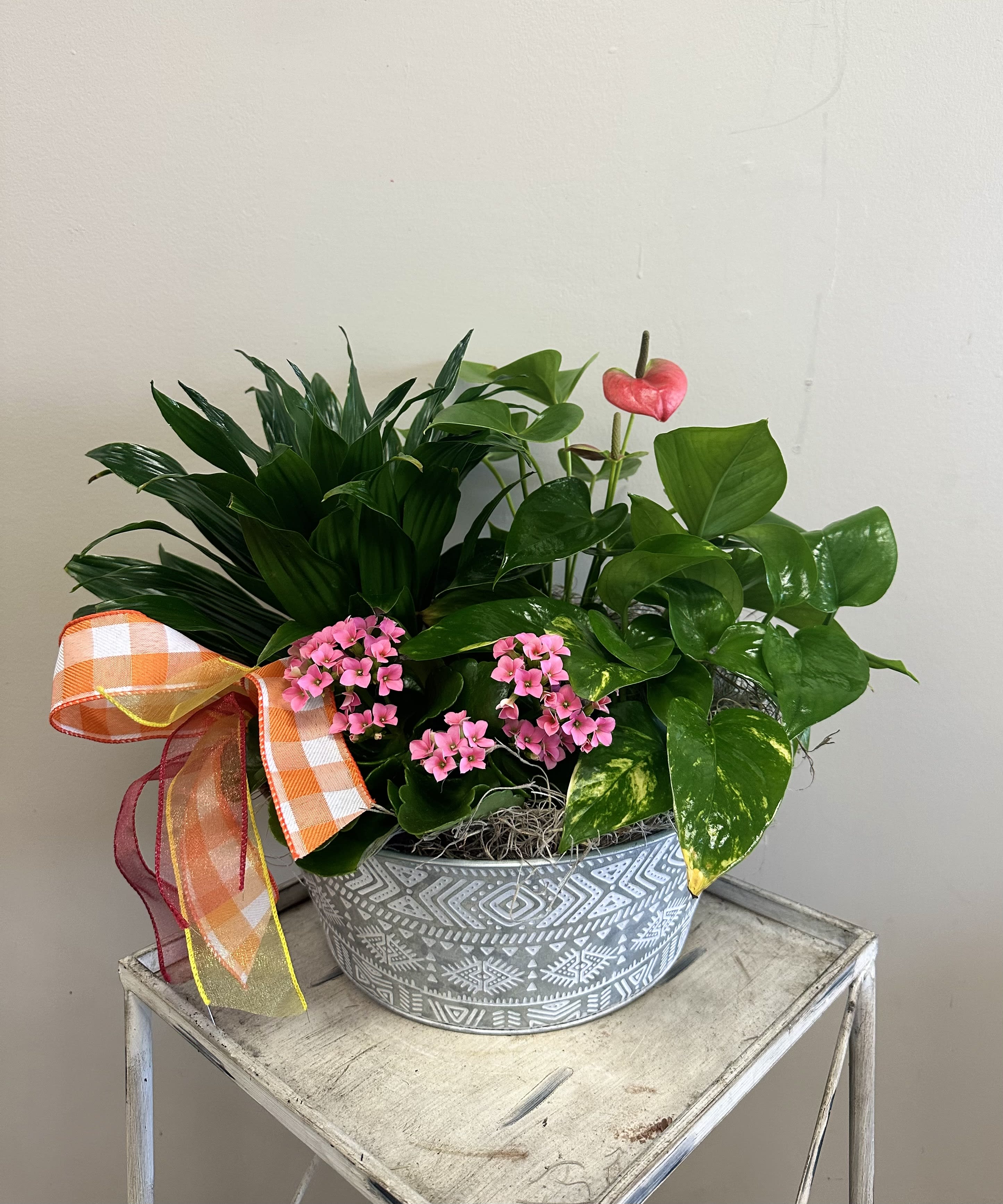 Assorted Garden Basket  Assorted Garden Basket  - A beautiful, assorted mix of house plants for the home.  Comes with 4- different plants Each basket is made with a different assortment of plants, the plants in each order will vary.