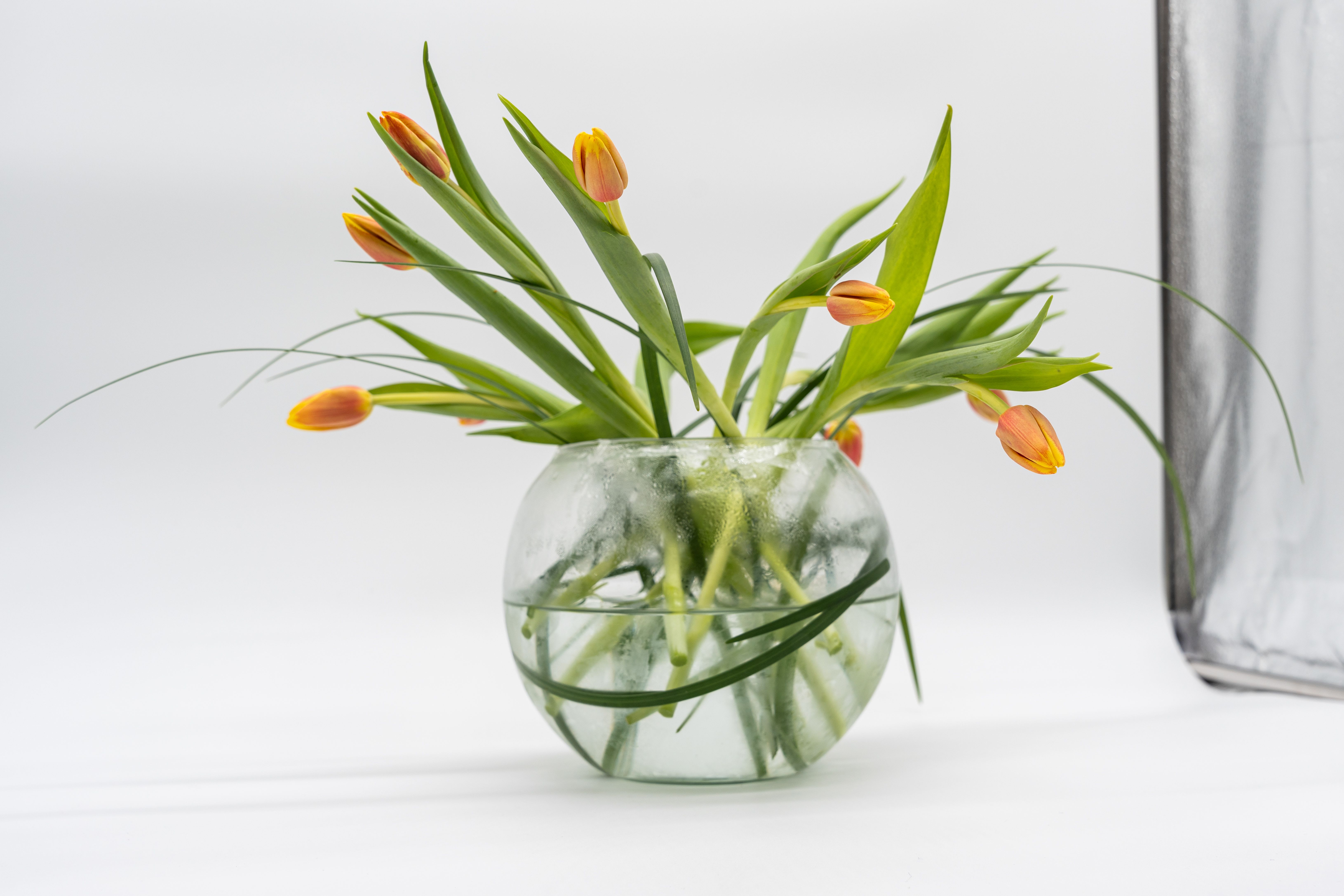 Beautifully Elegant Tulips Beautifully Elegant Tulips - An Elegant and simple arrangement of Tulips only. Vase may vary