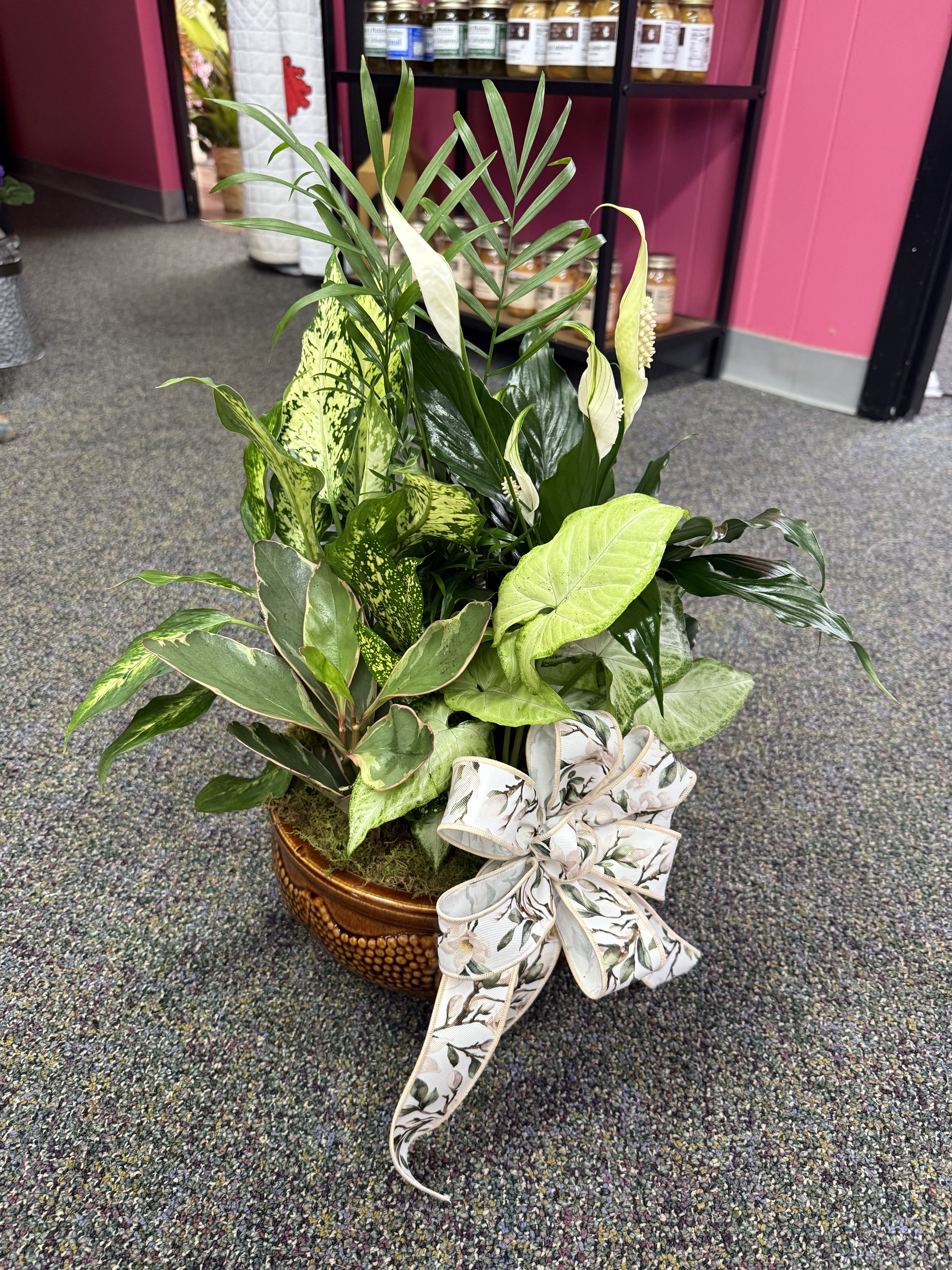 Medium Dishgarden - Our Medium Dishgarden features a mix of easy-to-care-for green plants, arranged in a stylish container and perfect for the home, office, or as a lasting sympathy gift. It’s a beautiful way to send comfort, encouragement, or a thoughtful “thinking of you” that lasts long after fresh flowers are gone.  Each dishgarden is made with fresh, healthy plants and can be dressed up with a bow or a small keepsake on request.