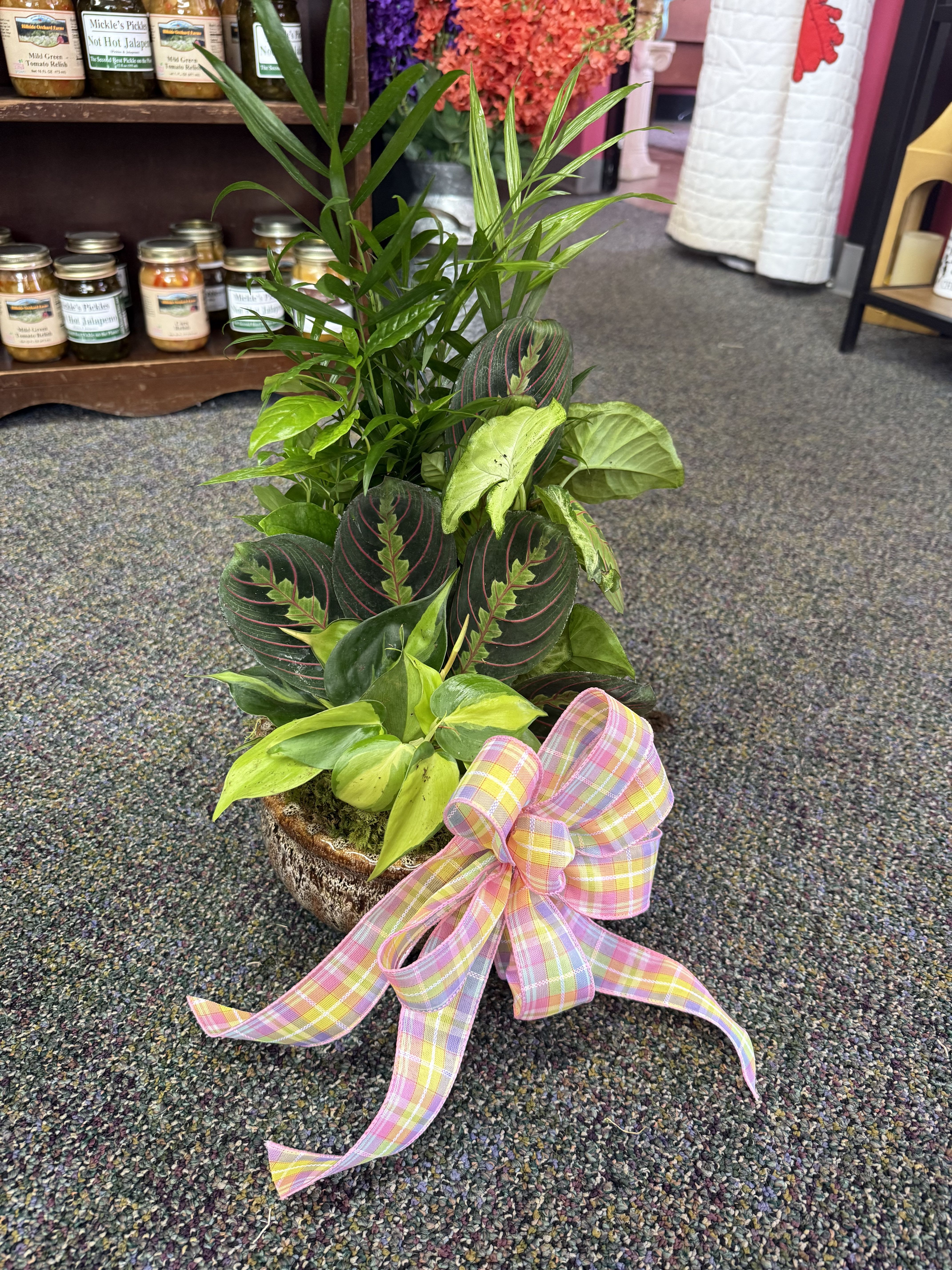 Small Dishgarden  - Our Small Dishgarden is a sweet and lasting gift made with a mix of easy-to-care-for green plants in a compact container. Perfect for desks, small tables, or sending a thoughtful message when space is limited. A great option for sympathy, get well, or just because.  Each dishgarden is made fresh and can be personalized with a bow or keepsake upon request.