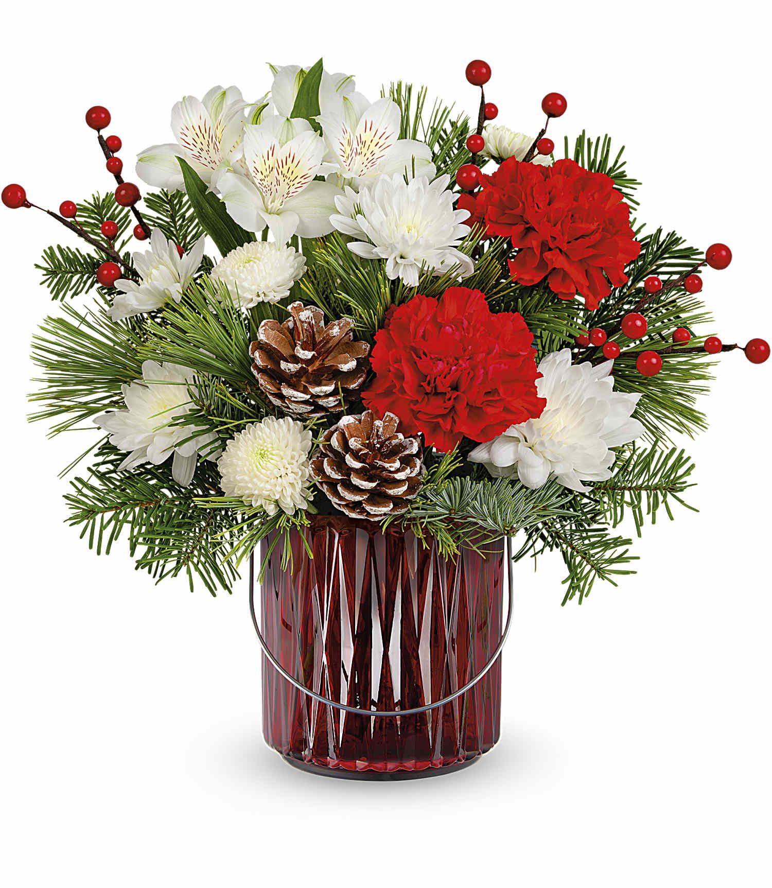 Luminous Charm - Adorn your halls with timeless holiday elegance! This delightful bouquet of Christmas roses is artfully arranged in a charming red lantern vase with a silver handle. It doubles as a lovely candleholder for future holiday seasons!