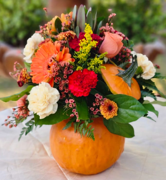 Real Pumpkin Designer's Choice - Medium size real pumpkin, designer's choice fall colors