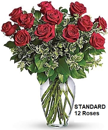 12 Roses Red Long Stem and greenery arranged in a vase (3 options) 12 Roses Red Long Stem and greenery arranged in a vase (3 options) - - AS SHOWN: 12 red roses Long Stem arranged in a vase - DELUXE: 18 red roses Long Stem arranged in a vase - PREMIUM: 24 red roses Long Stem arranged in a vase