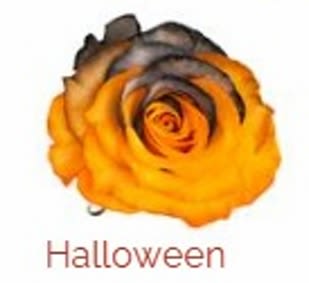 Pumpkin Fire (Bundle Option Available) AVAILABLE OCT 29-31 LIMITED - Six of these wonderful orange roses with fire branding will be arranged in a vase and sprinkled with Halloween accents. Deluxe is the Bundle Option with 2 Halloween themed Balloons. (Balloon style may be different than shown)