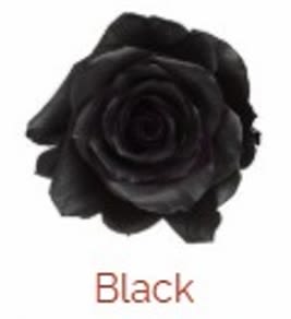 Bring on the Midnight Rose (Bundle Option Available) AVAILABLE OCT 29-31 LIMITED - Six Black Roses in a Vase spooked up for Halloween Midnight Deluxe is the Bundle Option with 2 Halloween Balloons.  (Balloon style may vary, still Halloween and still coordinate!)