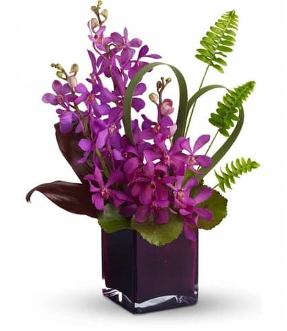 ISLAND PRINCESS ISLAND PRINCESS - Want to make someone feel like they're on a tropical honeymoon? This romantic gift is the perfect choice. Exotic purple orchids and island greenery are arranged in a standout modern cube vase. If you're looking for a romantic gift with a whole lot of flower power, you've found it! Size: 12''x 16H