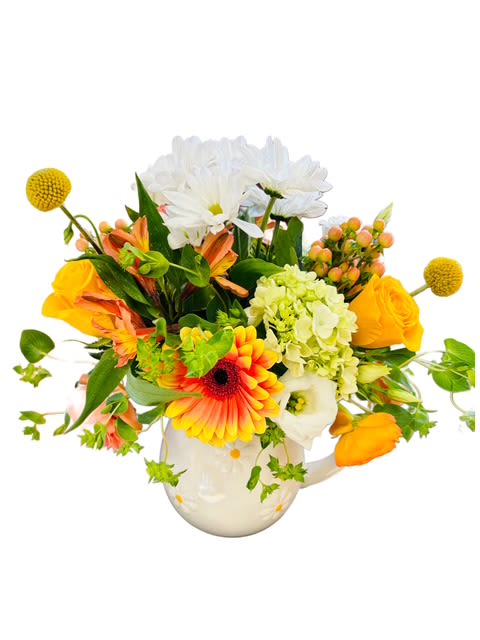 Sunshine Sips Bouquet - Bright, cheerful, and full of personality, this arrangement brings a burst of sunshine to any day! Golden gerbera daisies, vibrant orange tulips, soft white daisies, and fresh green hydrangea are artfully arranged in a charming ceramic teapot. Perfect for a kitchen table, desk, or cheerful gift, this playful design radiates warmth and happiness — just like a cozy cup of sunshine.