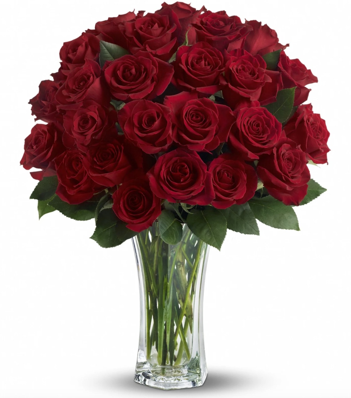 Grandeur Long Stem Rose Arrangement by BloomNation™ Grandeur Long Stem Rose Arrangement by BloomNation™ - Go big with your love. Send the most extravagant 3 dozen red rose arrangement for Valentine's day, anniversary celebrations, or declarations of love. This luxury arrangement makes a big statement of "I love you" in 36 roses.  Approximate Dimensions: 20"D x 32"H