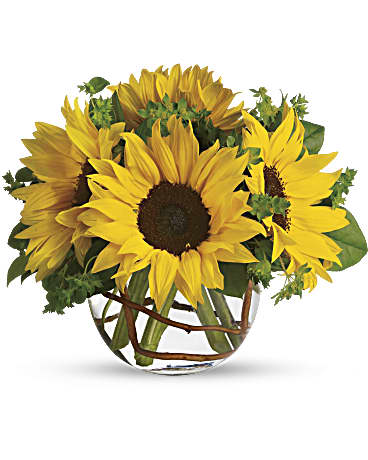 Sunny Sunflowers Sunny Sunflowers - Brighten up a table, send get well wishes, or simply sprinkle sunshine on someone's day with this summer flower arrangement. Bold sunflowers are arranged in a glass bubble bowl with curly willow curled inside. Sunflowers steal the show in this simple arrangement.  Orientation: All-Around