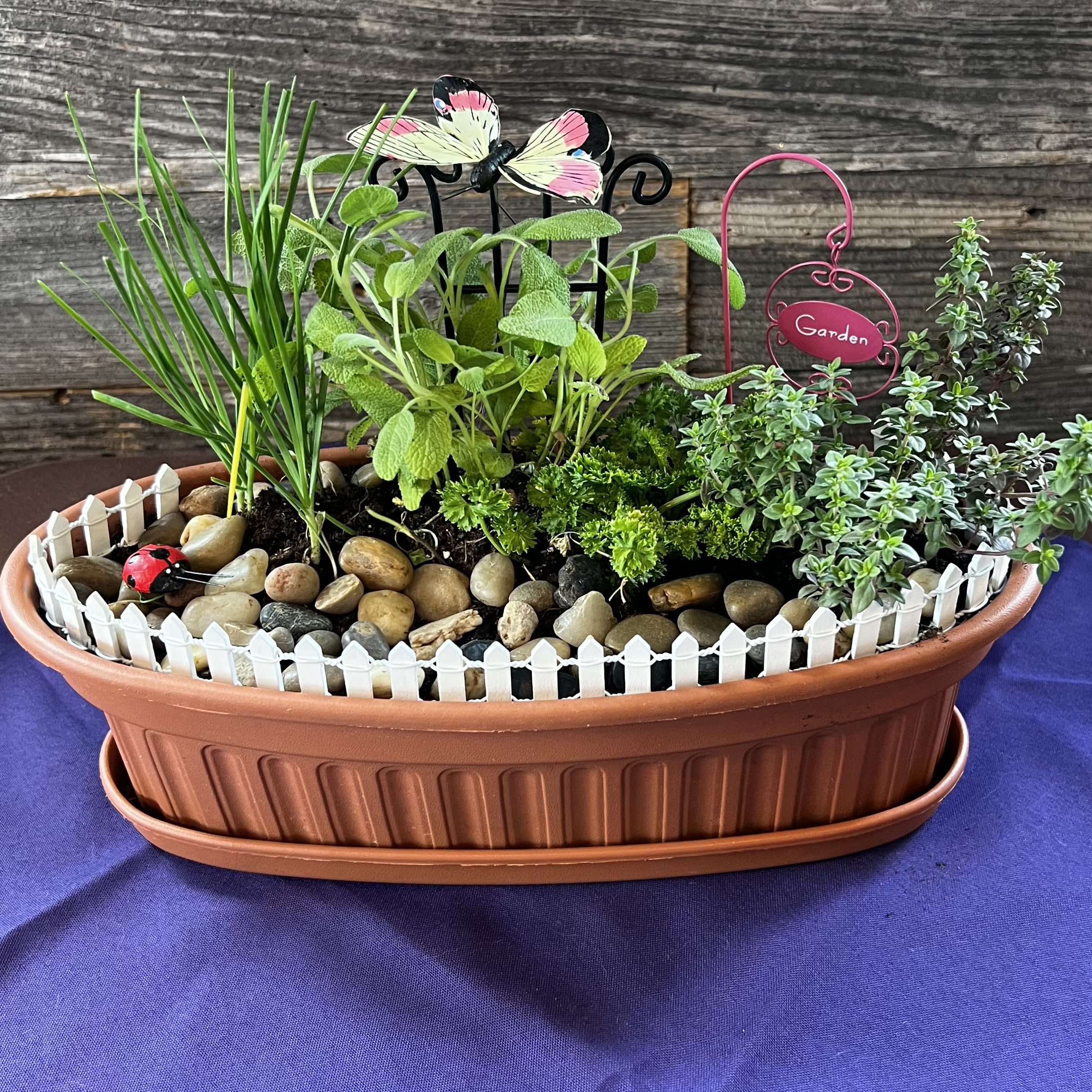 Herbal Dish Garden Herbal Dish Garden - A charming blend of live herbs arranged in a rustic dish garden. Fresh, fragrant, and functional! Perfect for windowsills, patios, or kitchen counters.