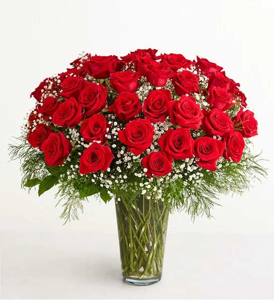50 Red Roses - Fill their day with romance with this lavish bouquet of 50 velvety red Sweetheart Roses. 