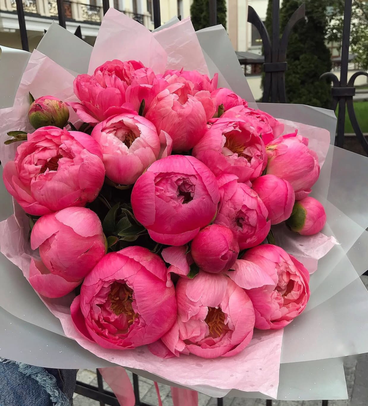 № 267 - THE PHOTO SHOWS THE DELUXE SIZE  - Bouquet of coral peonies.  Standard size - 12 peonies  Deluxe size - 18 peonies (as in the photo) Premium size - 24 peonies 