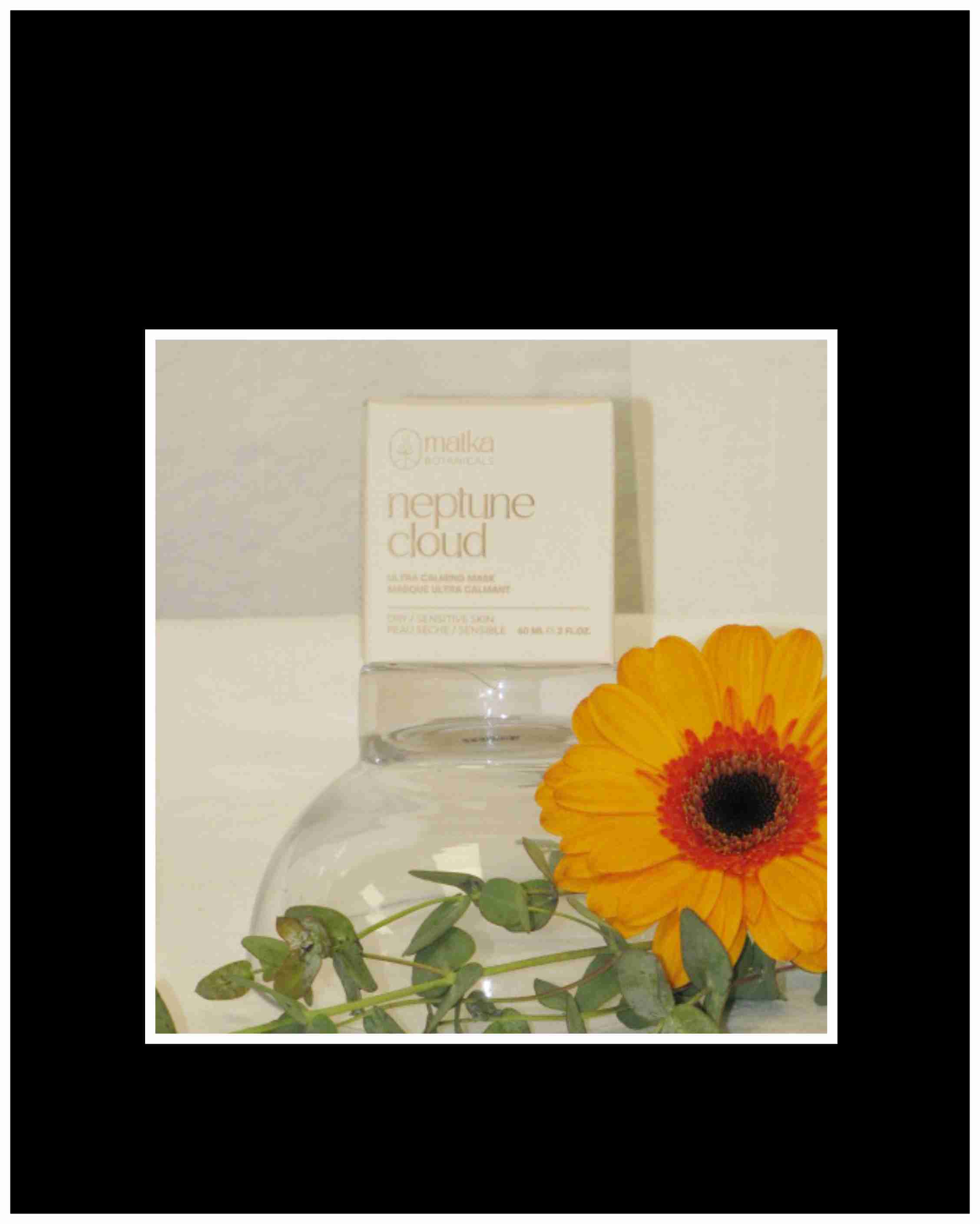 Neptune Cloud Calming Mask Neptune Cloud Calming Mask - Face Mask from Matka Botanical's BLUE BUTTERFLY PEA FLOWER- Packed with antioxidants like flavonoids, anthocyanins, and polyphenols that help reduce free radical damage in the skin. A powerful redness reducing agent for rosacea, acne, and telangiectasia. OAT PROTEIN- Beta-glucans found in oats help support faster-wound healing. It contains humectant properties, which draws in moisture that soothes inflamed and dry skin, as well as supports skin barrier function by boosting the production of filaggrin. ALOE VERA- Rich in vitamins C, E, and A, and known for its potent humectant and restorative properties. Aloe Vera can deliver intensive hydration to the skin while improving the appearance and discomfort associated with skin damage and irritation.  BORAGE - Richest source of gamma linolenic acid known to man, this oil is incredibly anti-inflammatory, and restores the intracellular moisture barrier of the skin reducing chronic dryness.  ———————————————————————————————————  100% plant-based ingredients. ECO-CERT approved preservatives, gelling agents, and emulsifiers. 100% free from synthetics, parabens, SLS’s, fragrances, petroleum-based ingredients, animal testing.      (Working hard to promote local products)