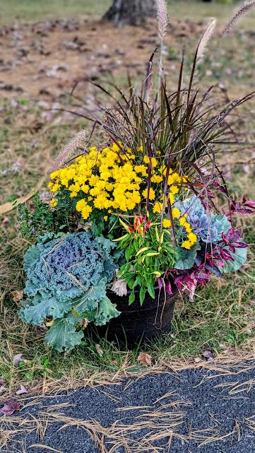 Porch Fall Planter - Fall Planter of asst. plants. Plants may vary.