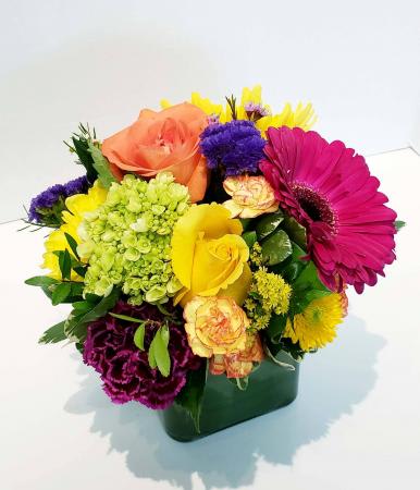 Angelina cube Arrangement Bright colors  - In season mix with bright colors this arrangement is small for a side coffee table or a  work desk This design will always be made with in season blooms  beautiful and bright. cube or cylinder glass vase . Picture is a deluxe size  