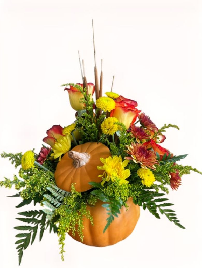 Enchanted Pumpkin - Everyone fall for this fabulous gift. Celebrate the season with this autumn arrangement of roses and beautiful flowers in a classic ceramic pumpkin. * FLOWERS &amp; VASES MAY VARY DUE TO OUR AVAILABILITY. * OUR DESIGNER WILL MAKE SUBSTITUTIONS WHEN NECESSARY, FOLLOWING THE SAME VALUE. * IF YOUR ORDER IS A GIFT, ADD YOUR GIFT MESSAGE IN &quot;SPECIAL INSTRUCTIONS&quot;.