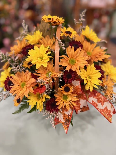 Fall Daisy Basket (FDB) Fall Daisy Basket (FDB) - A basket of fall blooms, perfect for that special someone.  Colors of flowers may vary