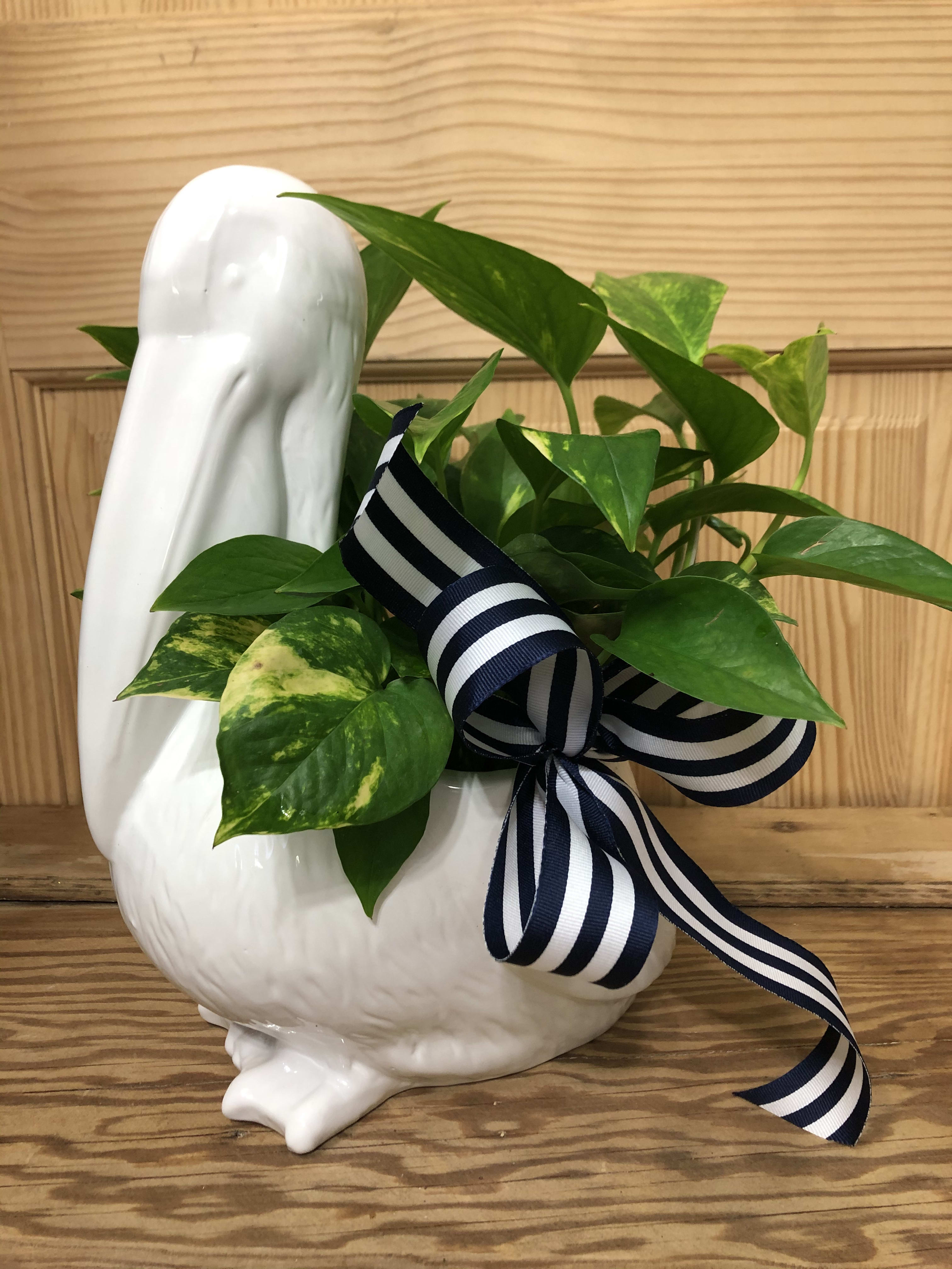 Peter the Preppy Pelican Planter - White ceramic pelican planter with green house plant. 