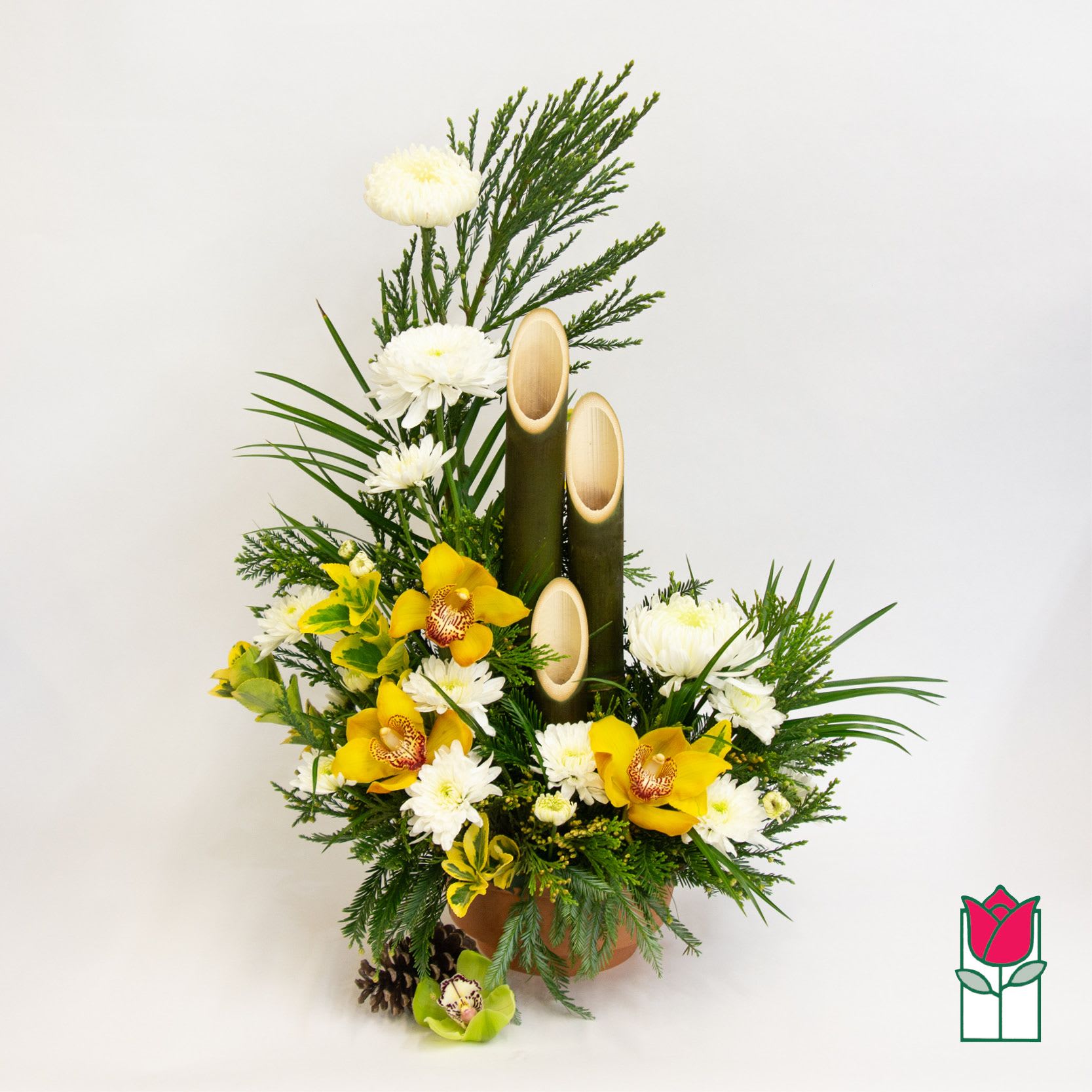 Beretania's Deluxe New Year's Kadomatsu - [Orchid Color Varies] (delivery avail from: 12/8) - Welcome in the New Year with our Good Luck New Year's Kadomatsu arrangement. Designed with fresh bamboo, pine and beautiful kiku flowers.