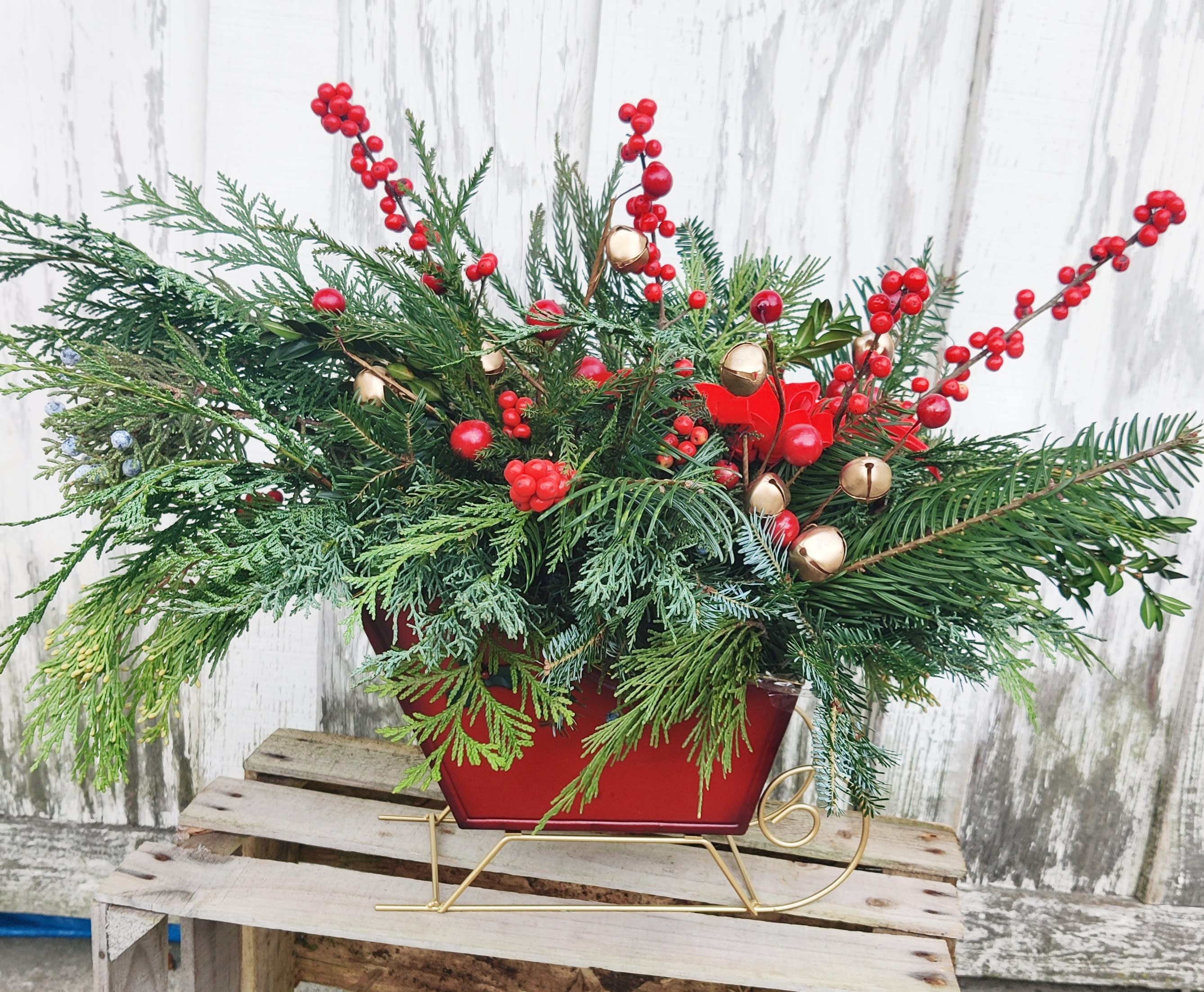 Santa's Sled - Santa's sled is full of fragrant greens, berries and bells. A cheerful holiday gift or centerpiece. 